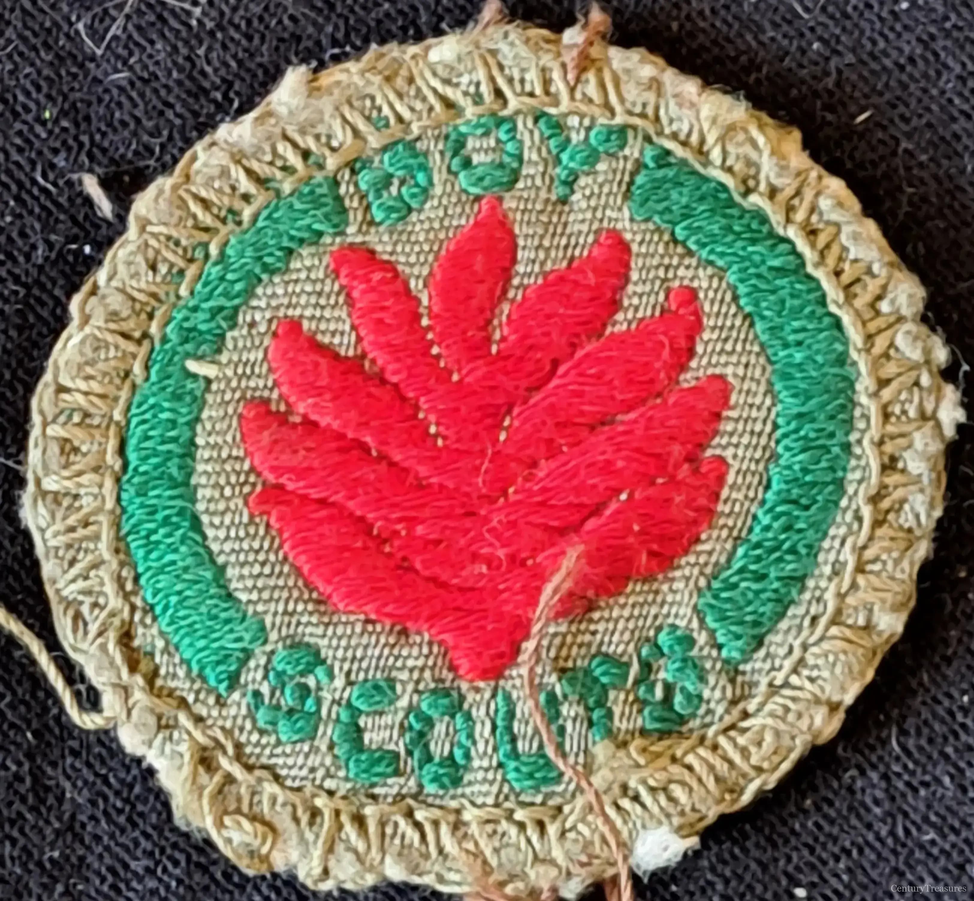 Boy Scouts Firemanship Proficiency Badge