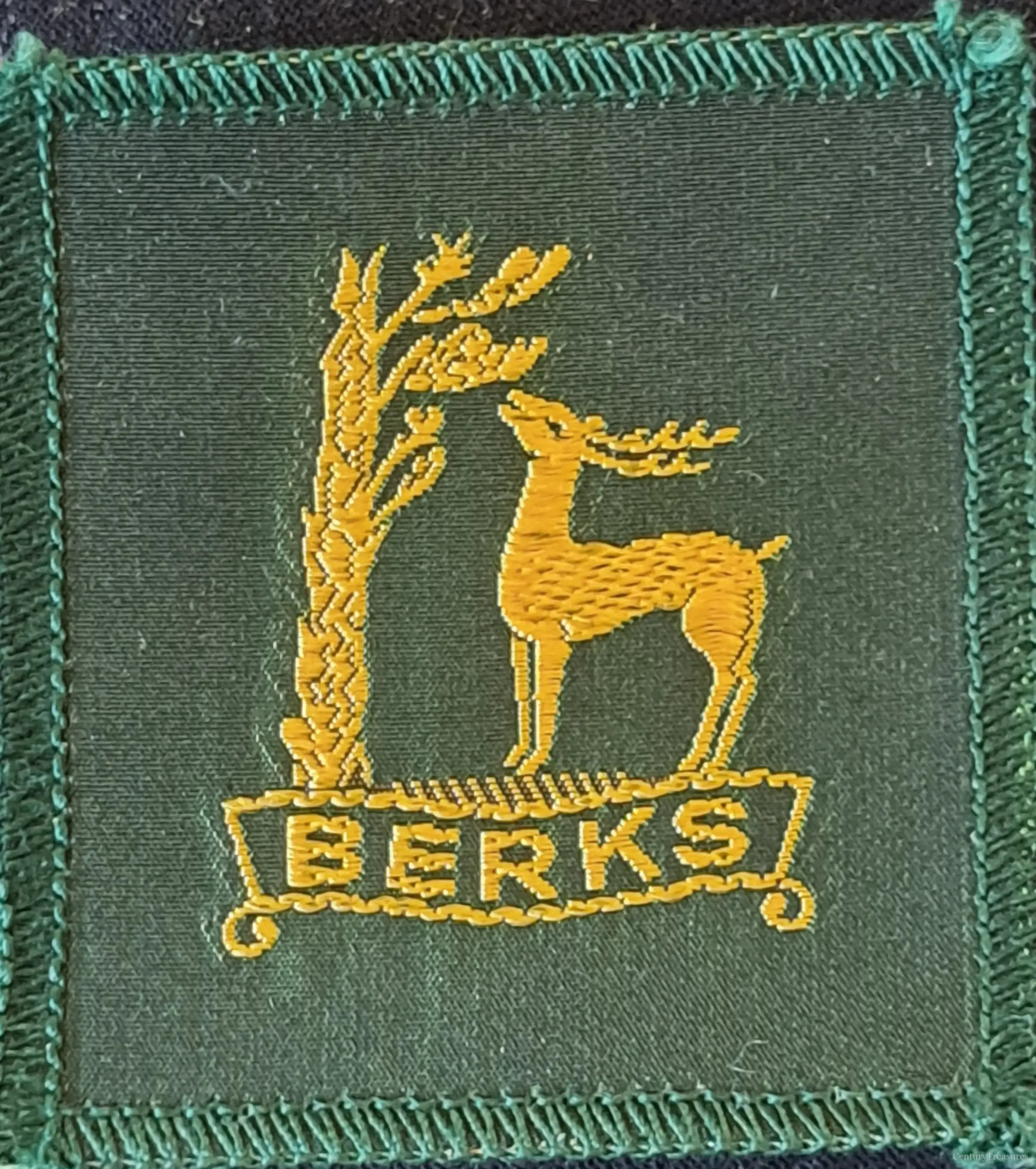 Royal County of Berkshire Boy Scouts District Badge