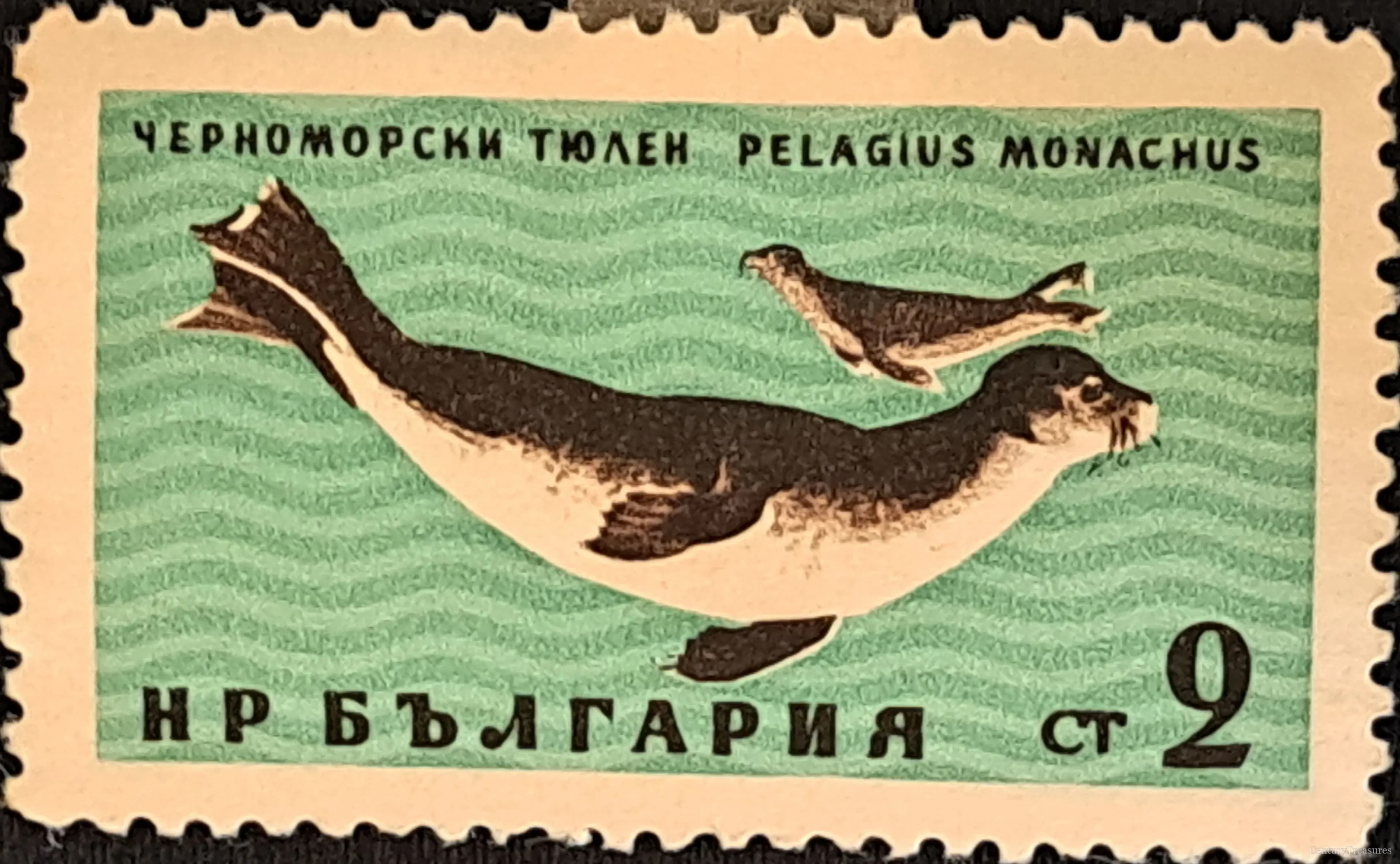 Guardians of the Brackish Deep
