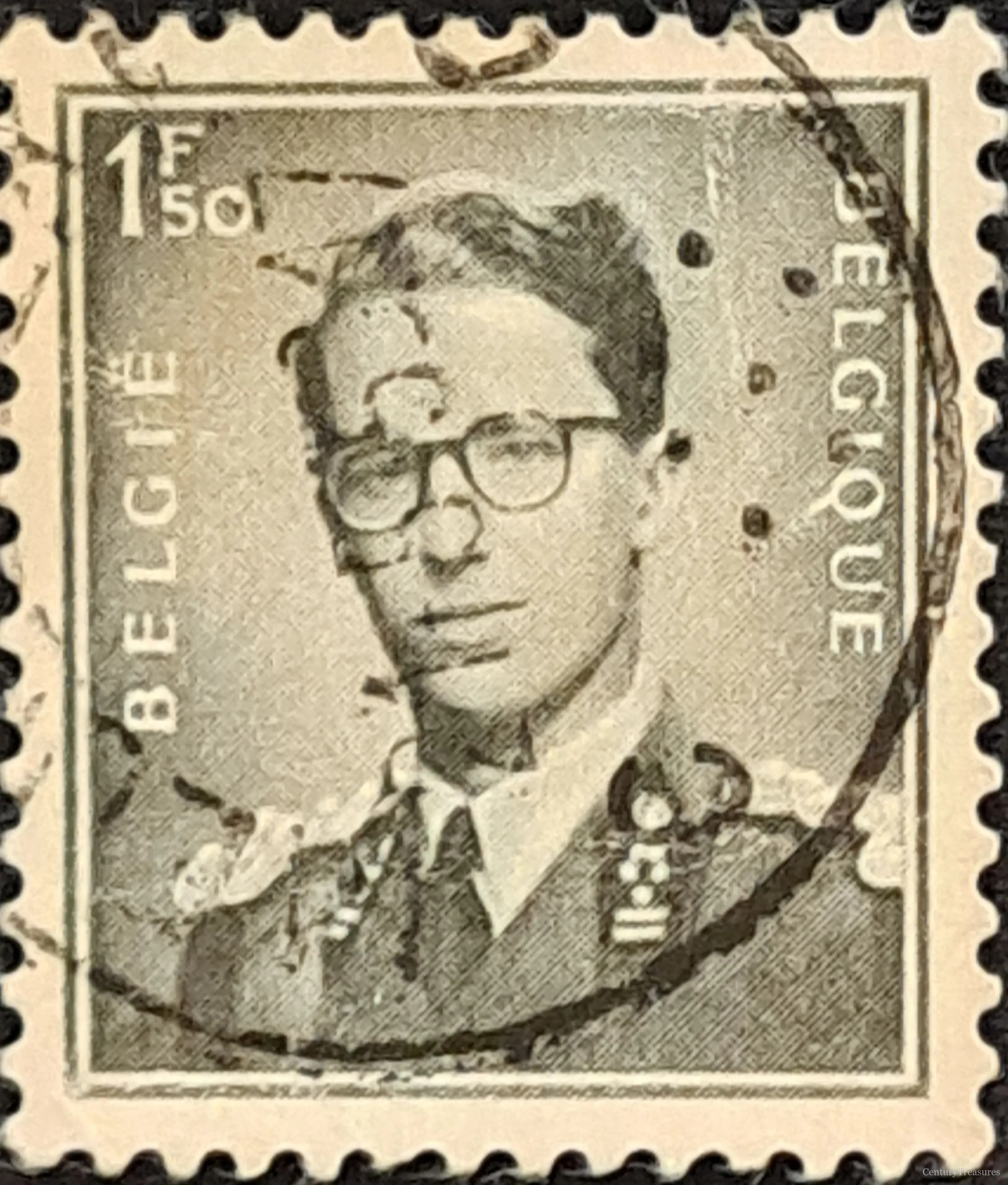 The Spectacled King