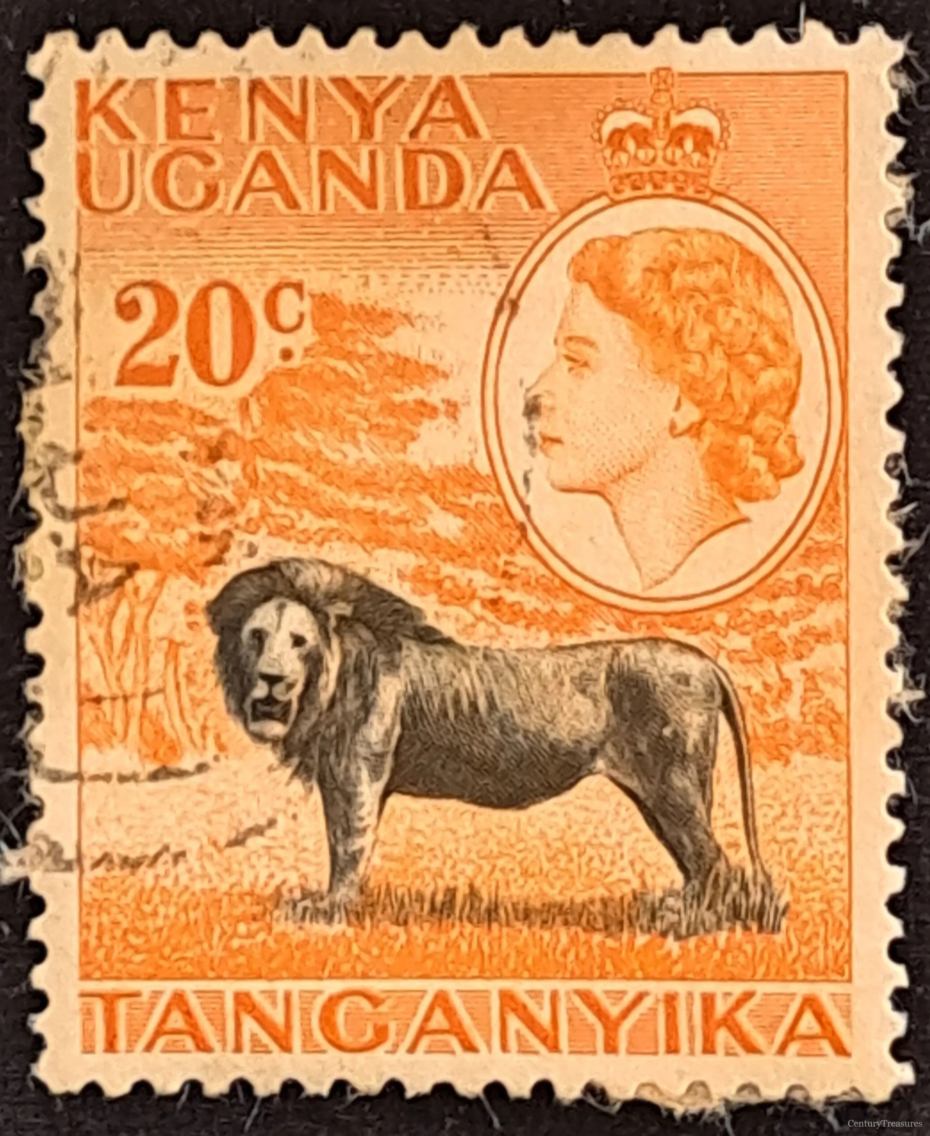 Savanna Monarch Portrait