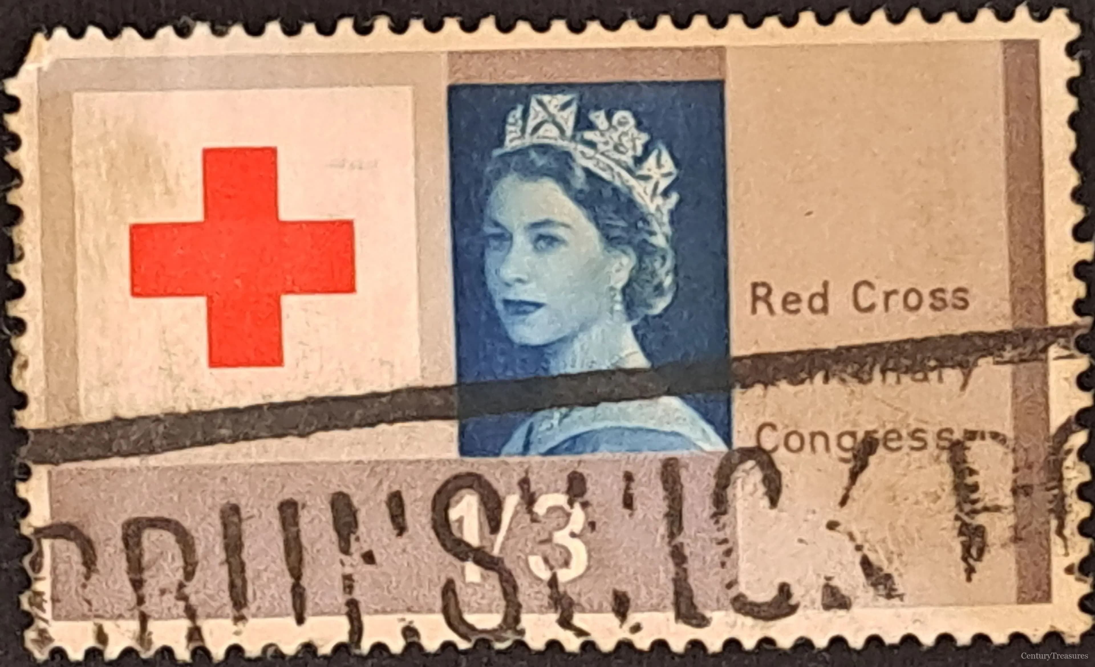 The Humanitarian Centenary