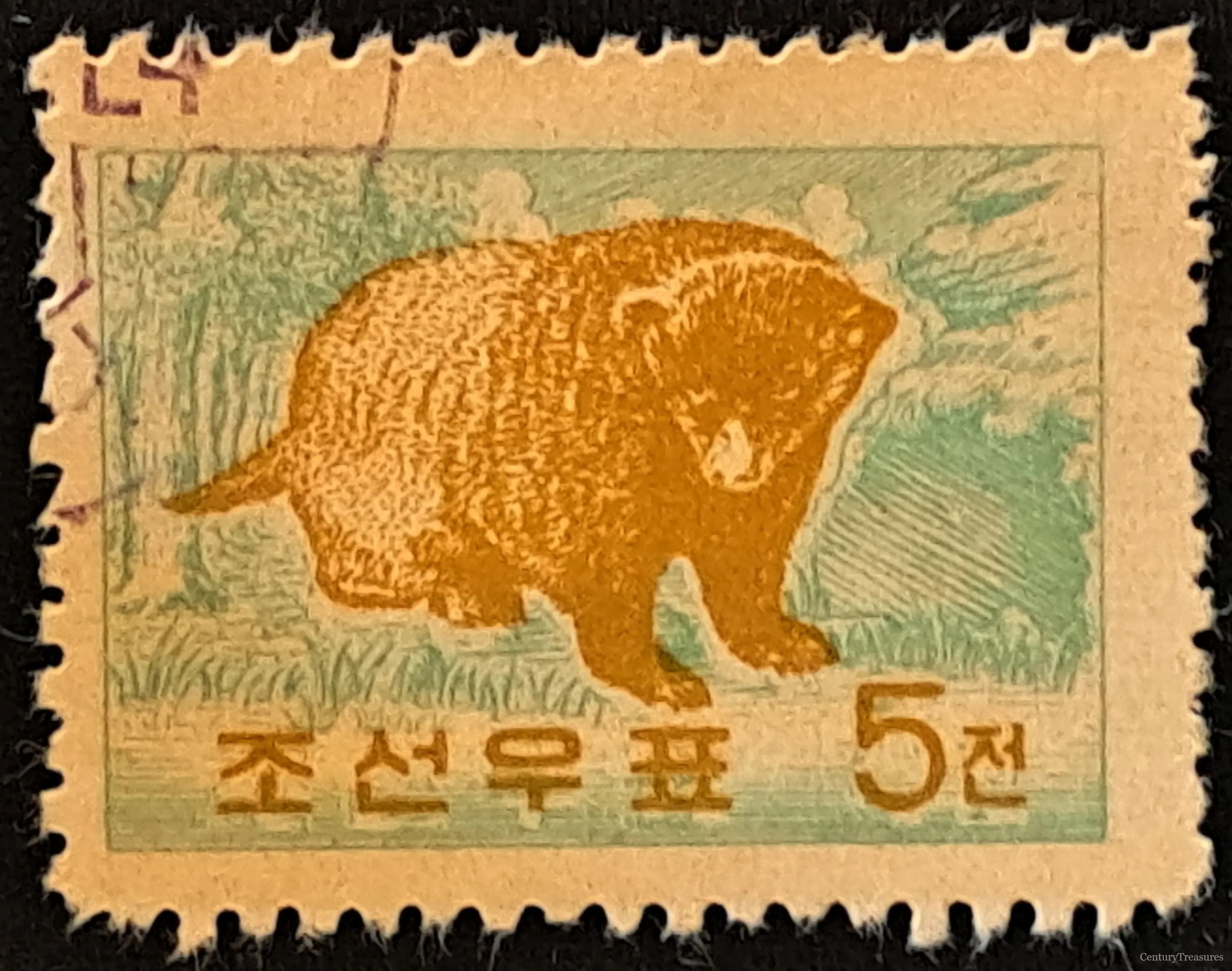 North Korea's Mountain Wolverine