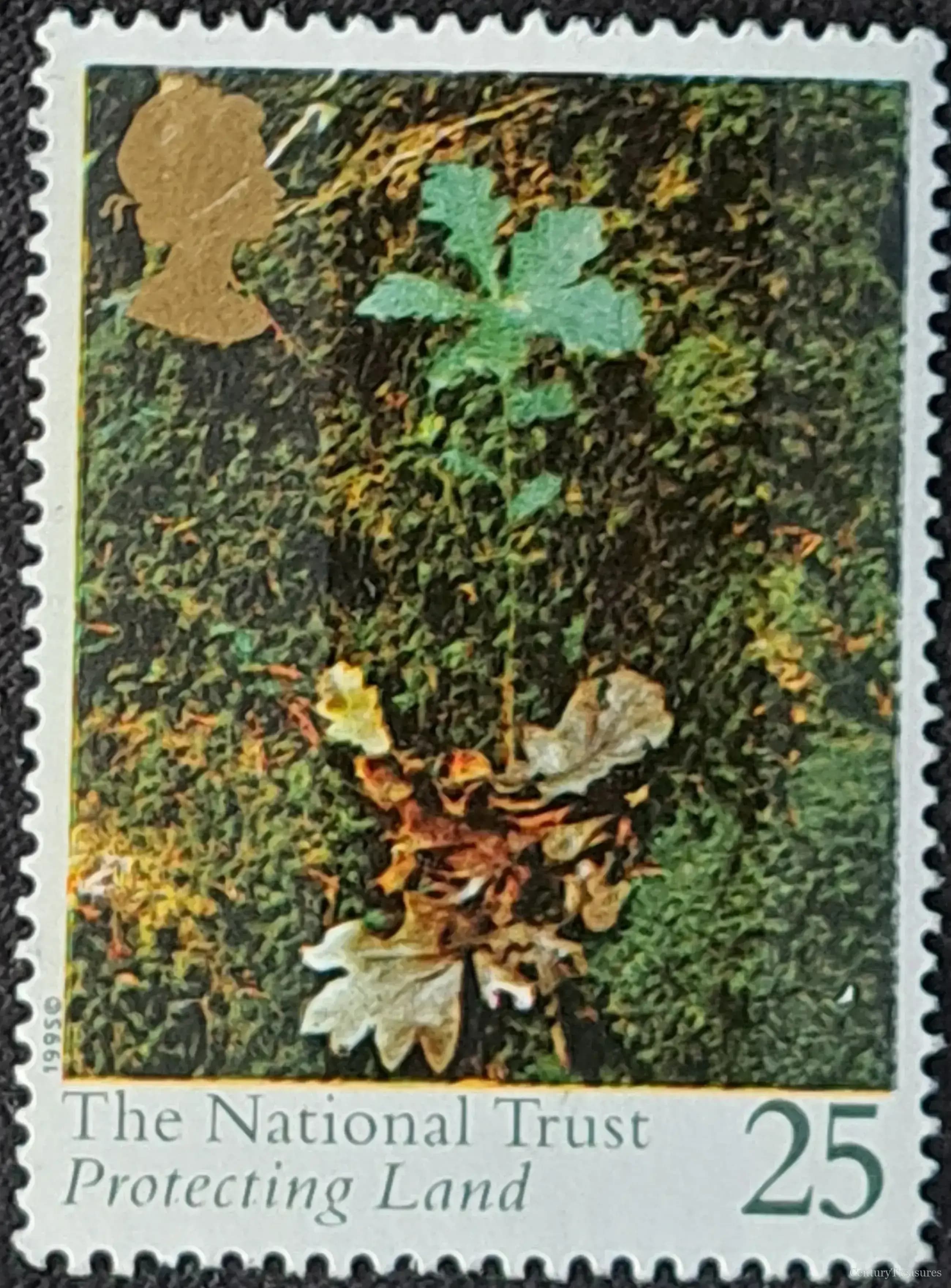 Royal Mail National Trust Oak Sapling