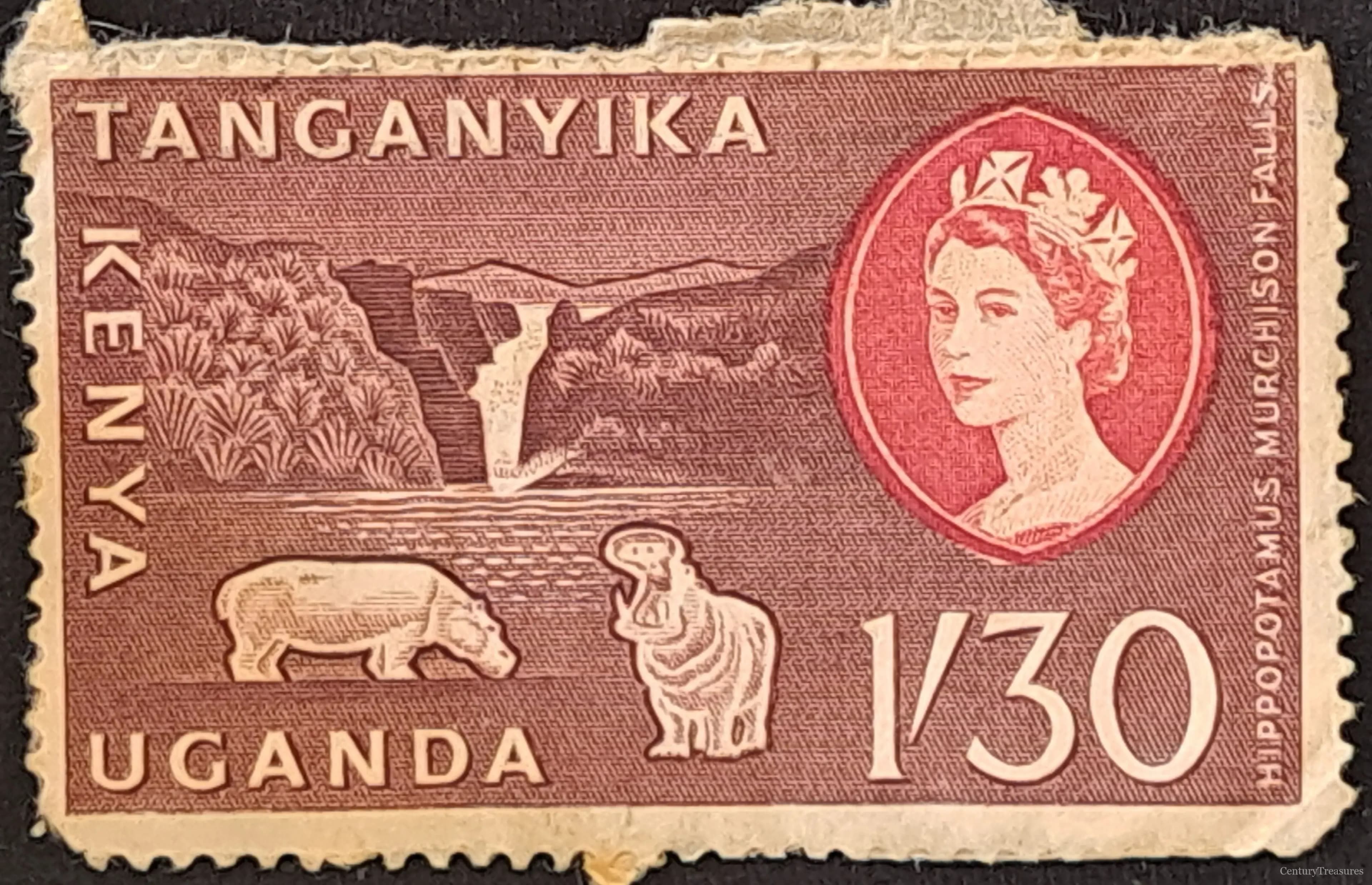 Murchison Falls Definitives