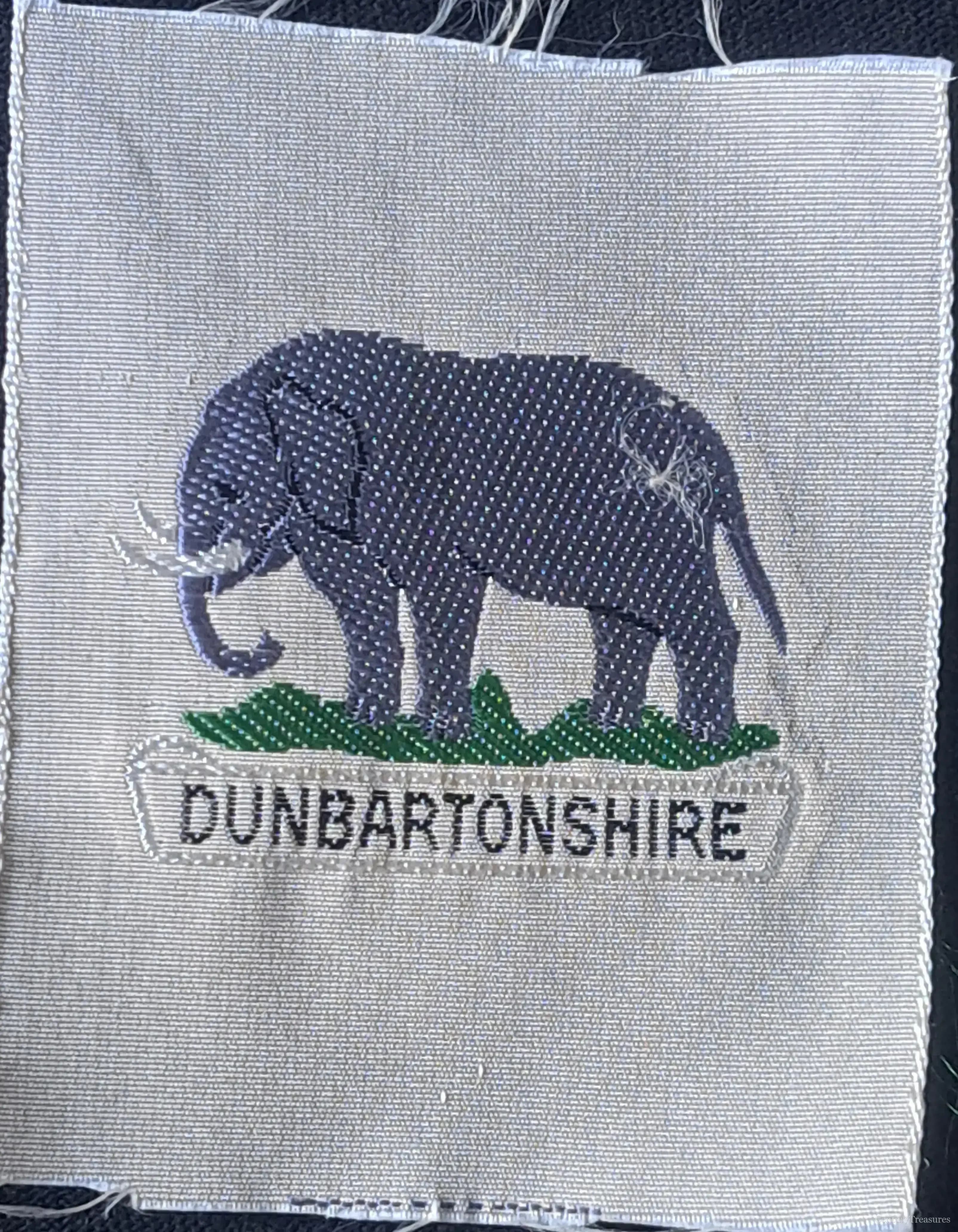 Dunbartonshire County Scout Patch