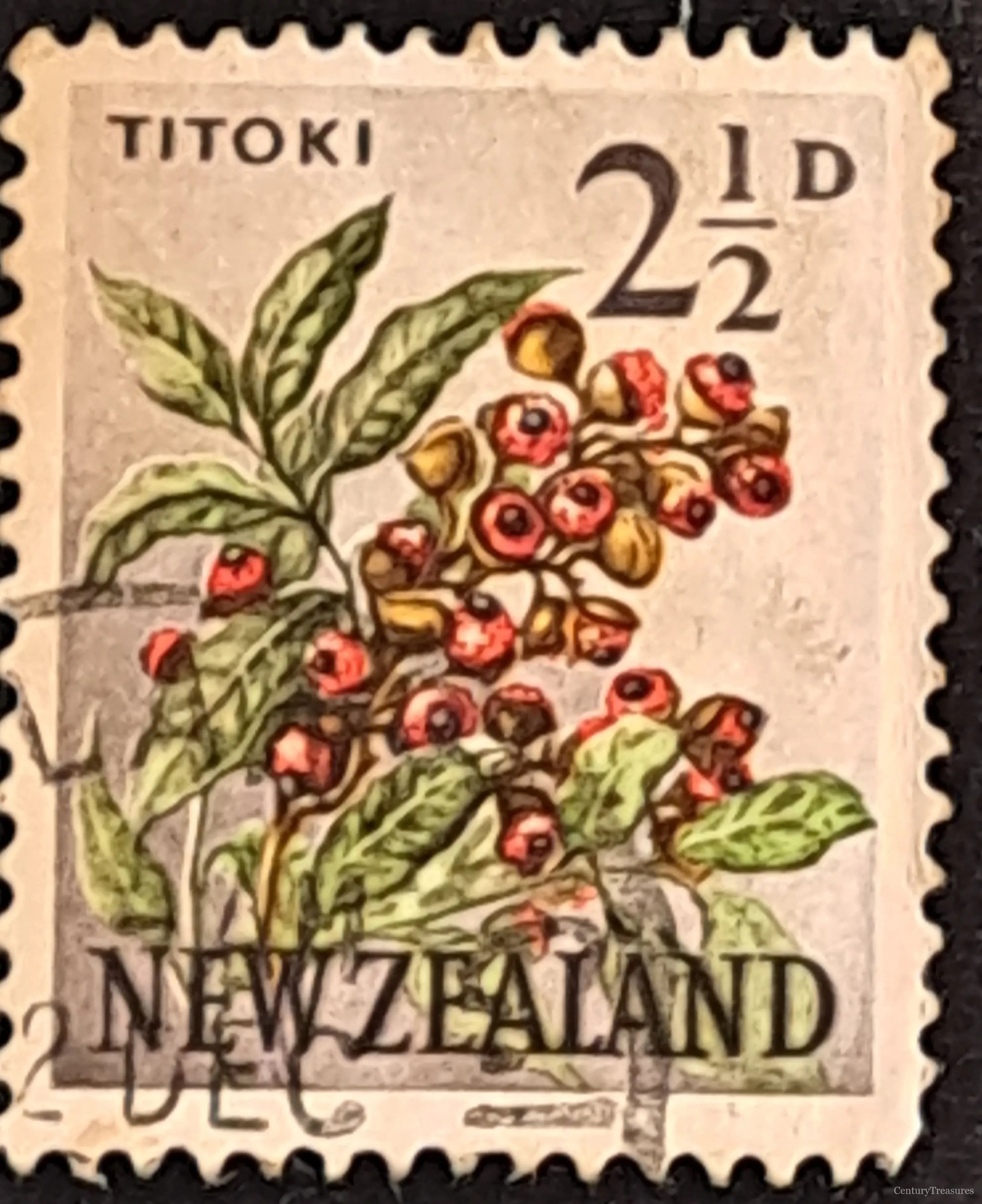 Native Floral Splendor
