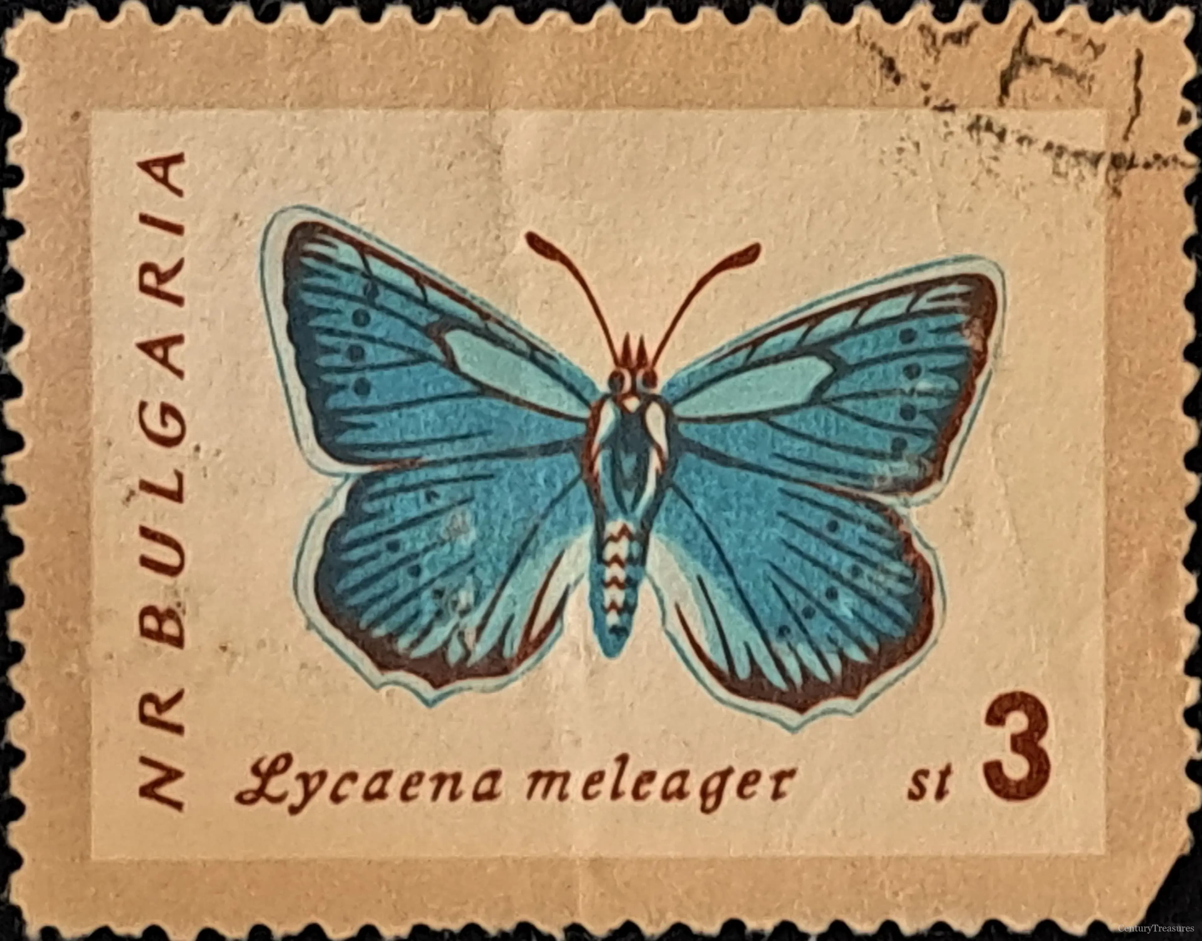 Sapphire of the Balkan Meadows