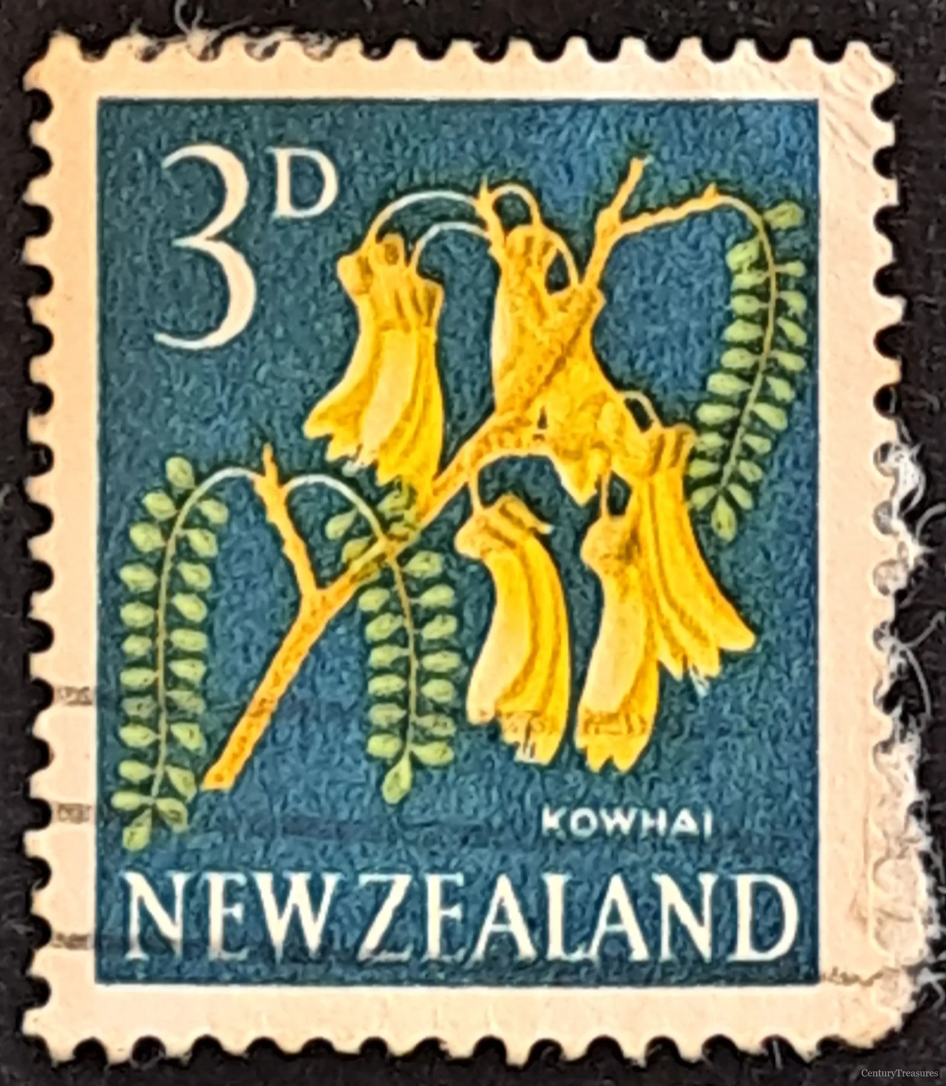 Golden Alpine Blossom