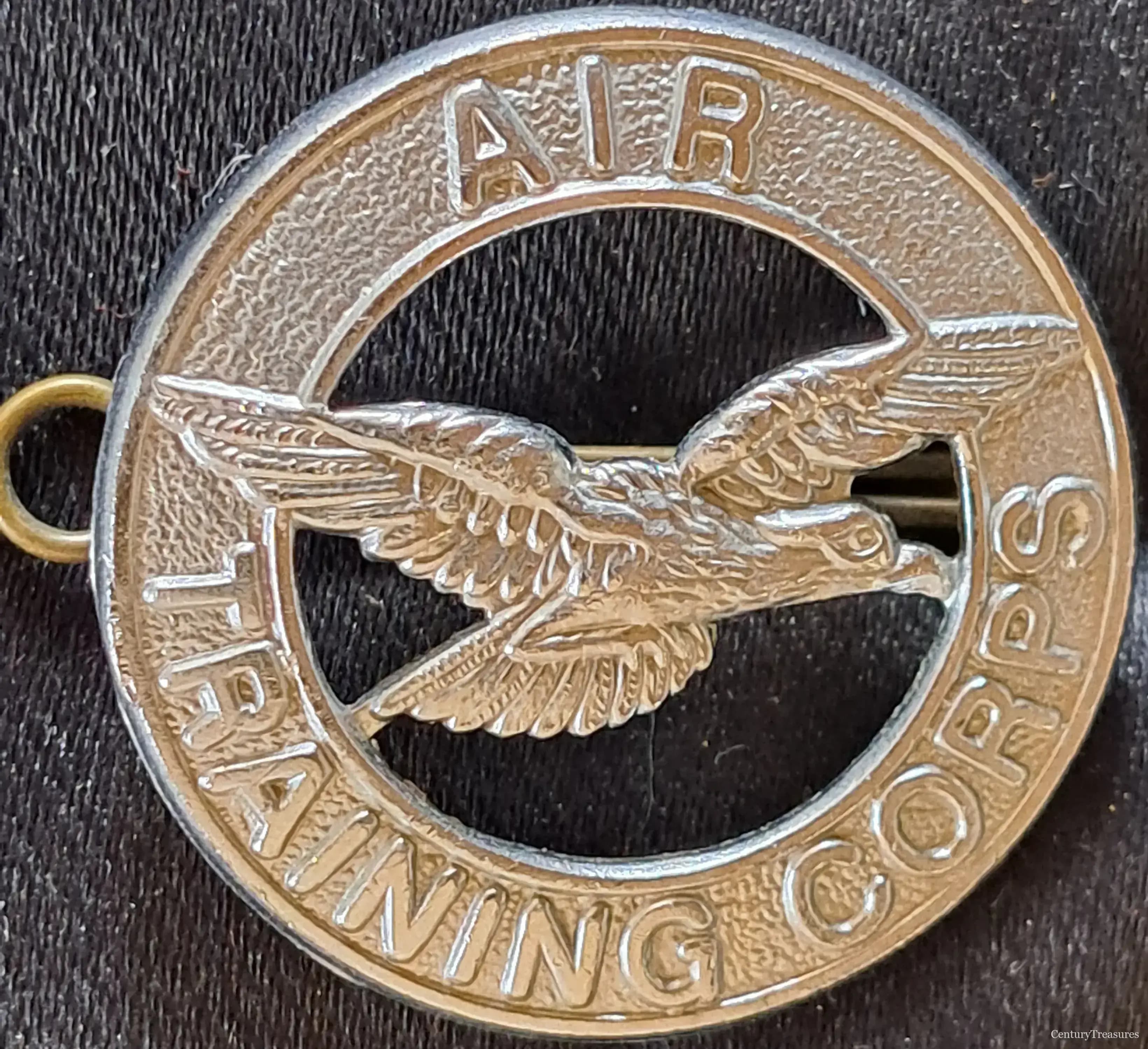 Insignia of Flying Ambition