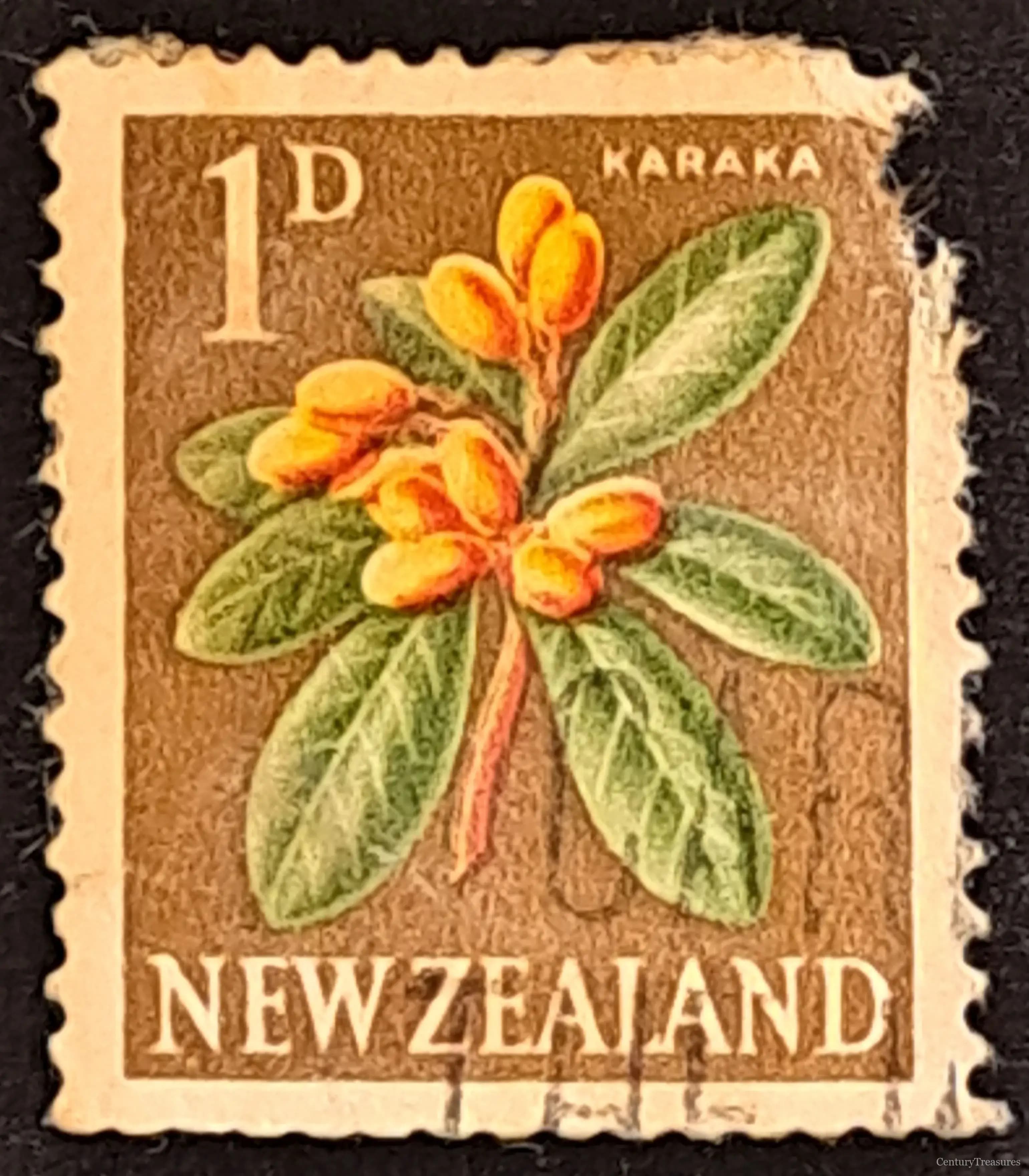 Indigenous Coastal Foliage