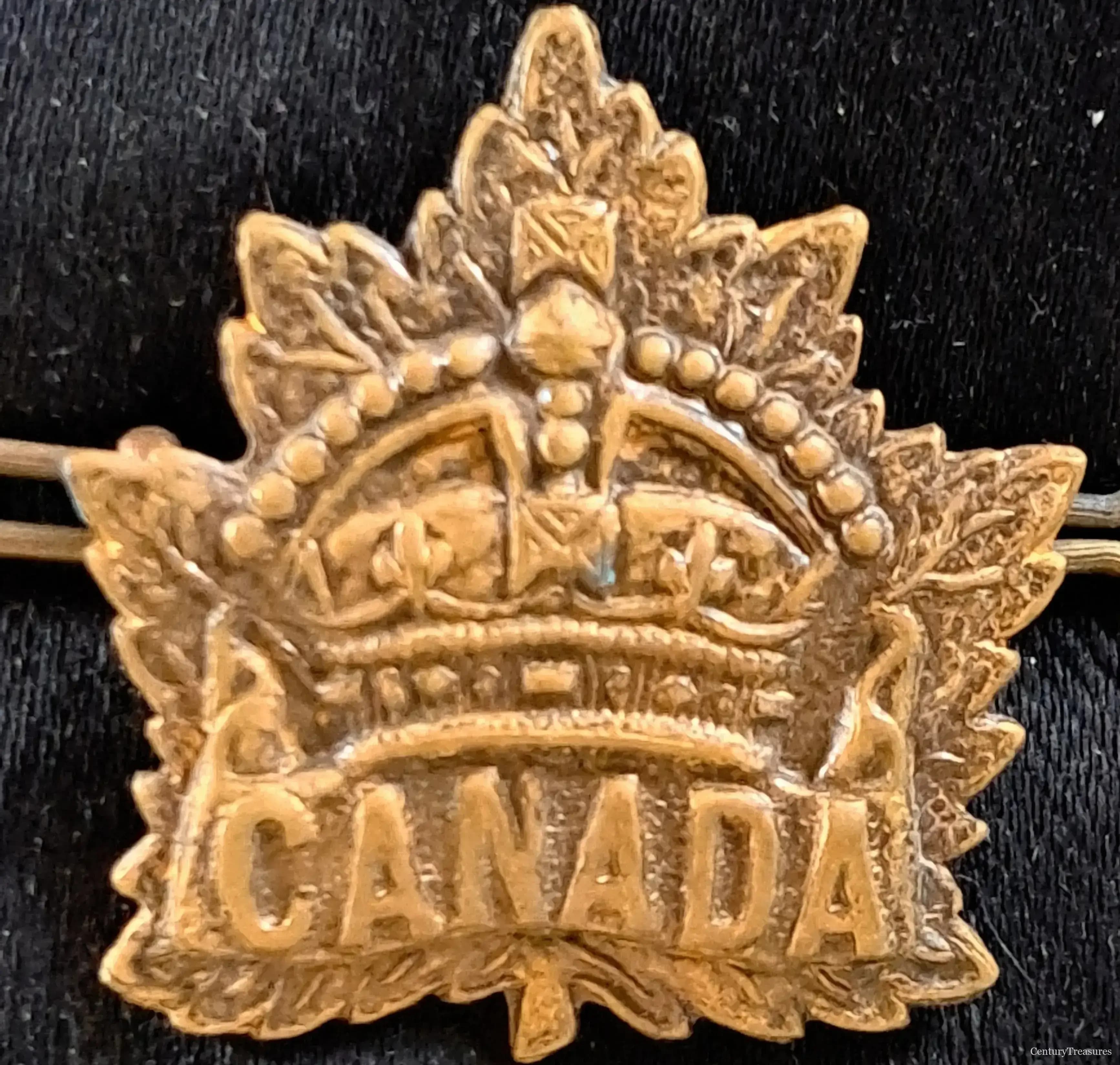Canadian Expeditionary Force General Service Badge