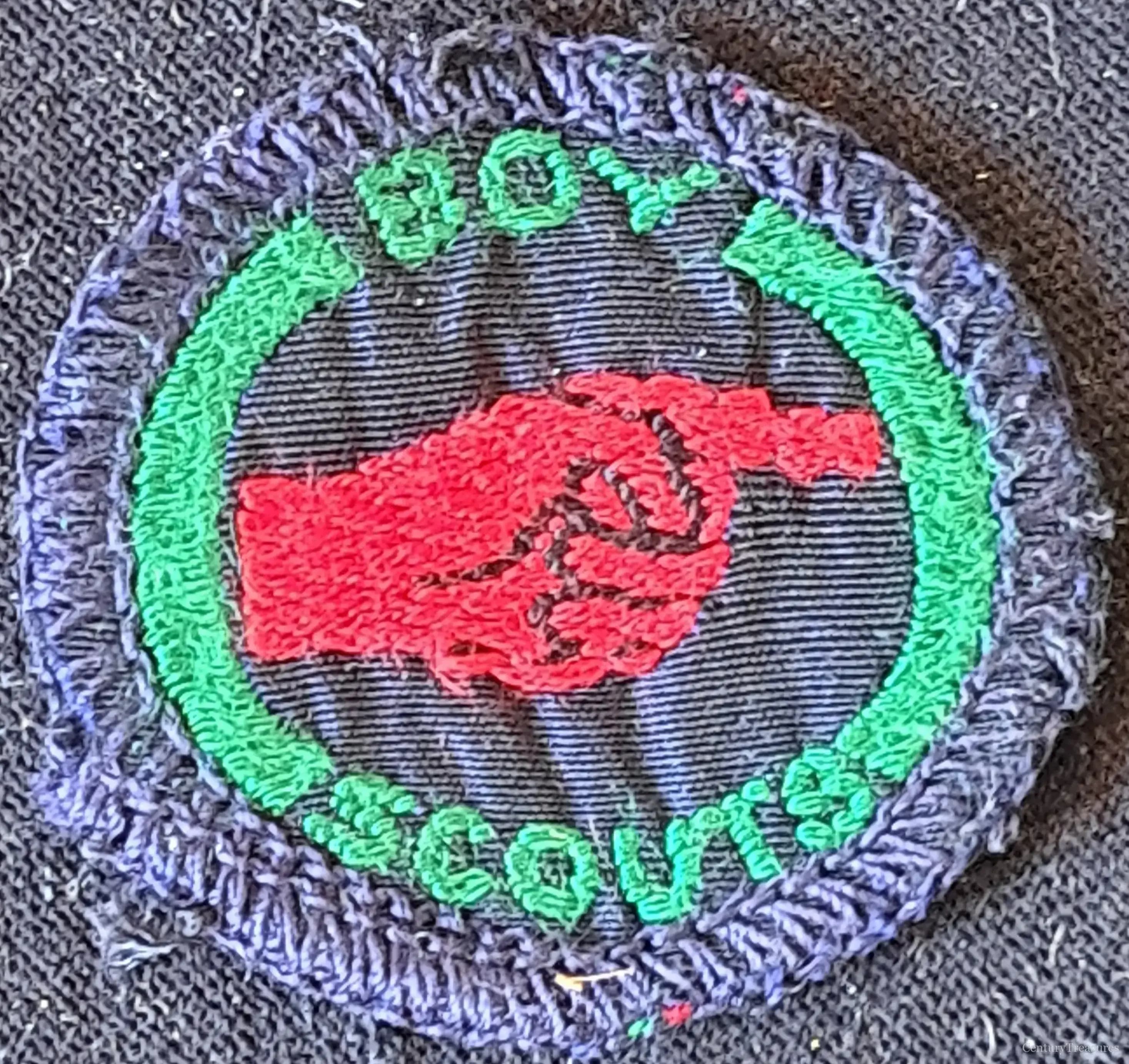 Boy Scouts Pathfinder Proficiency Badge