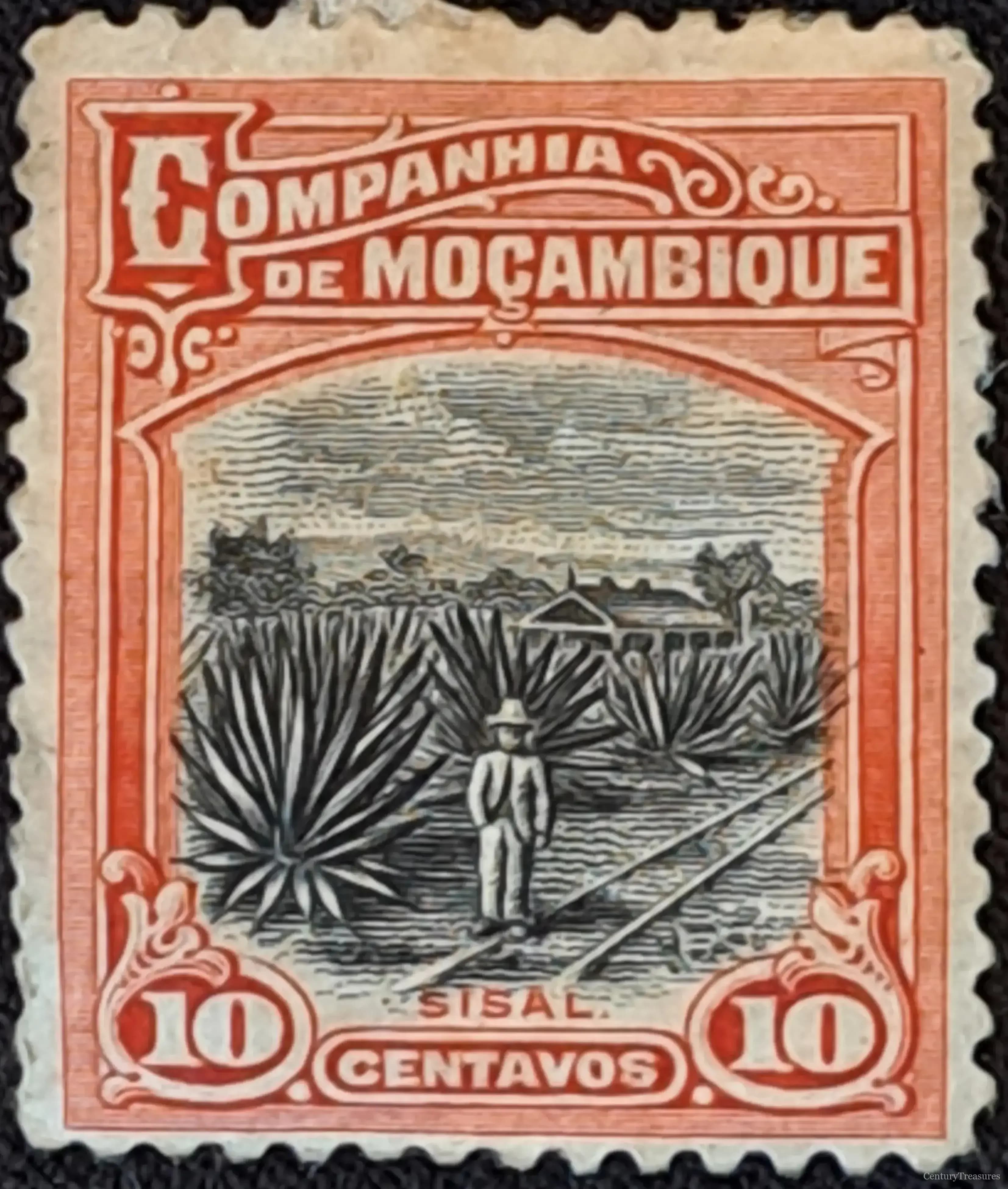 Companhia de Moçambique Sisal Plantation