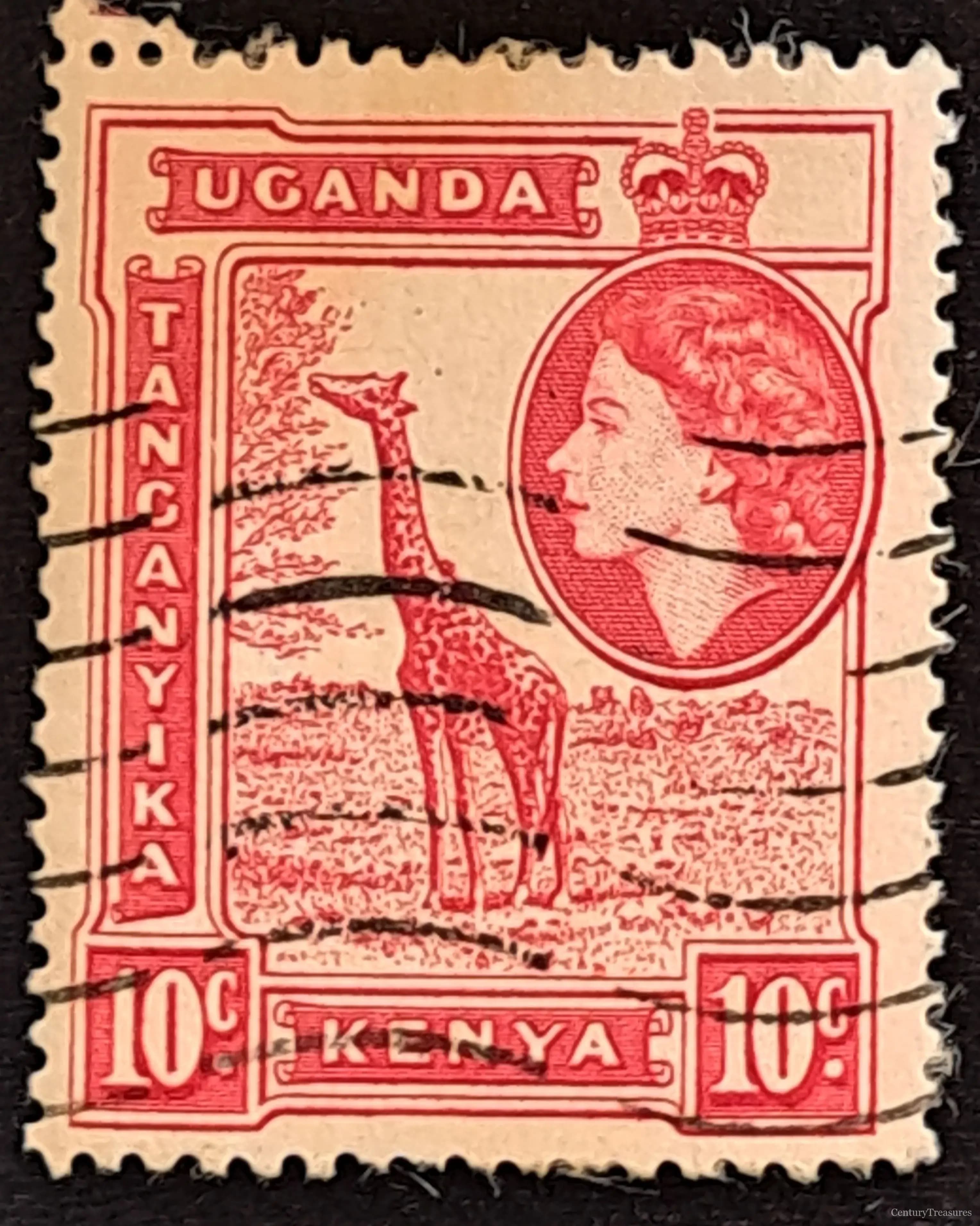Majesty of the East African Savannah