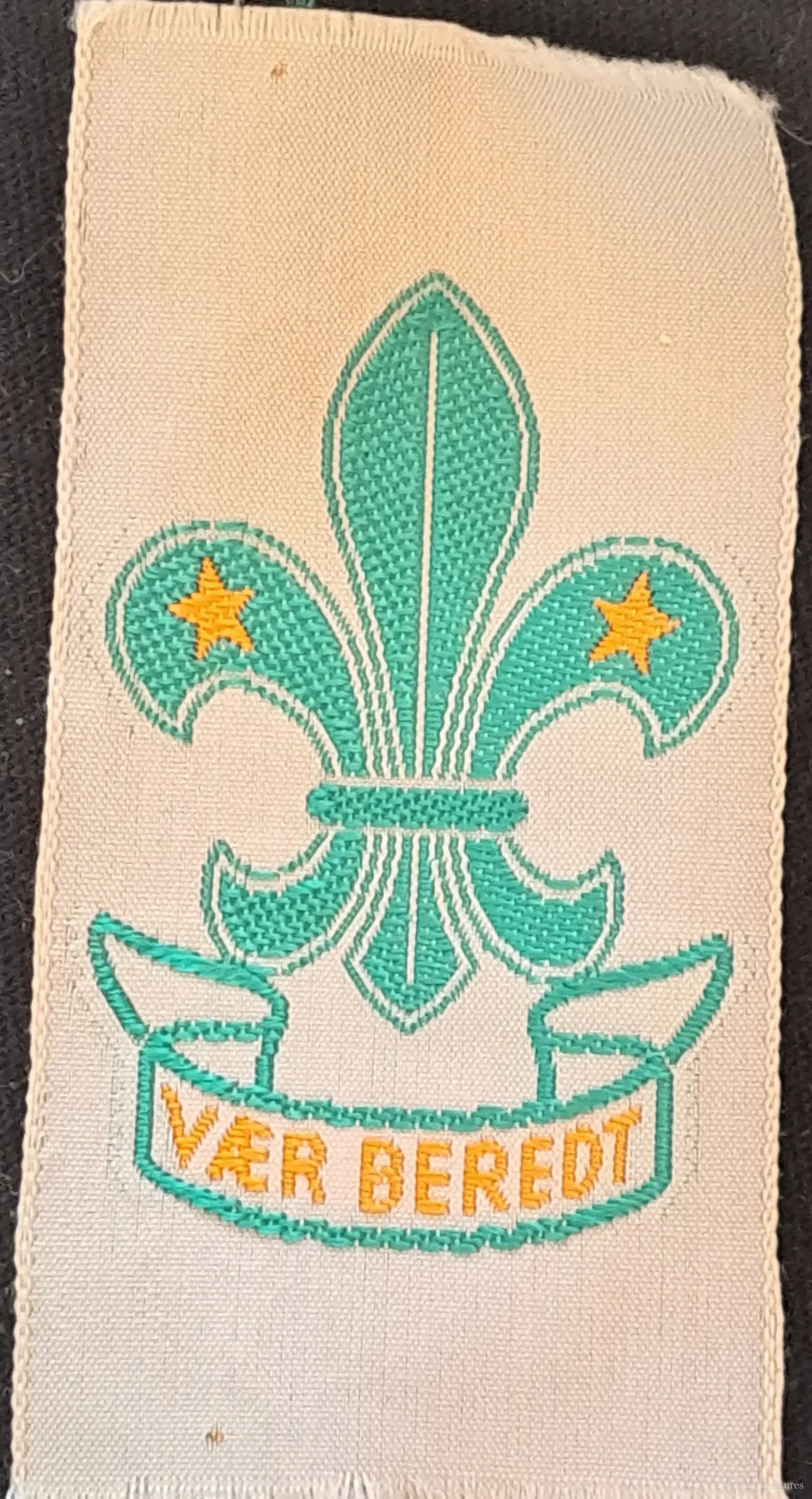 Scandinavian Scout Promise