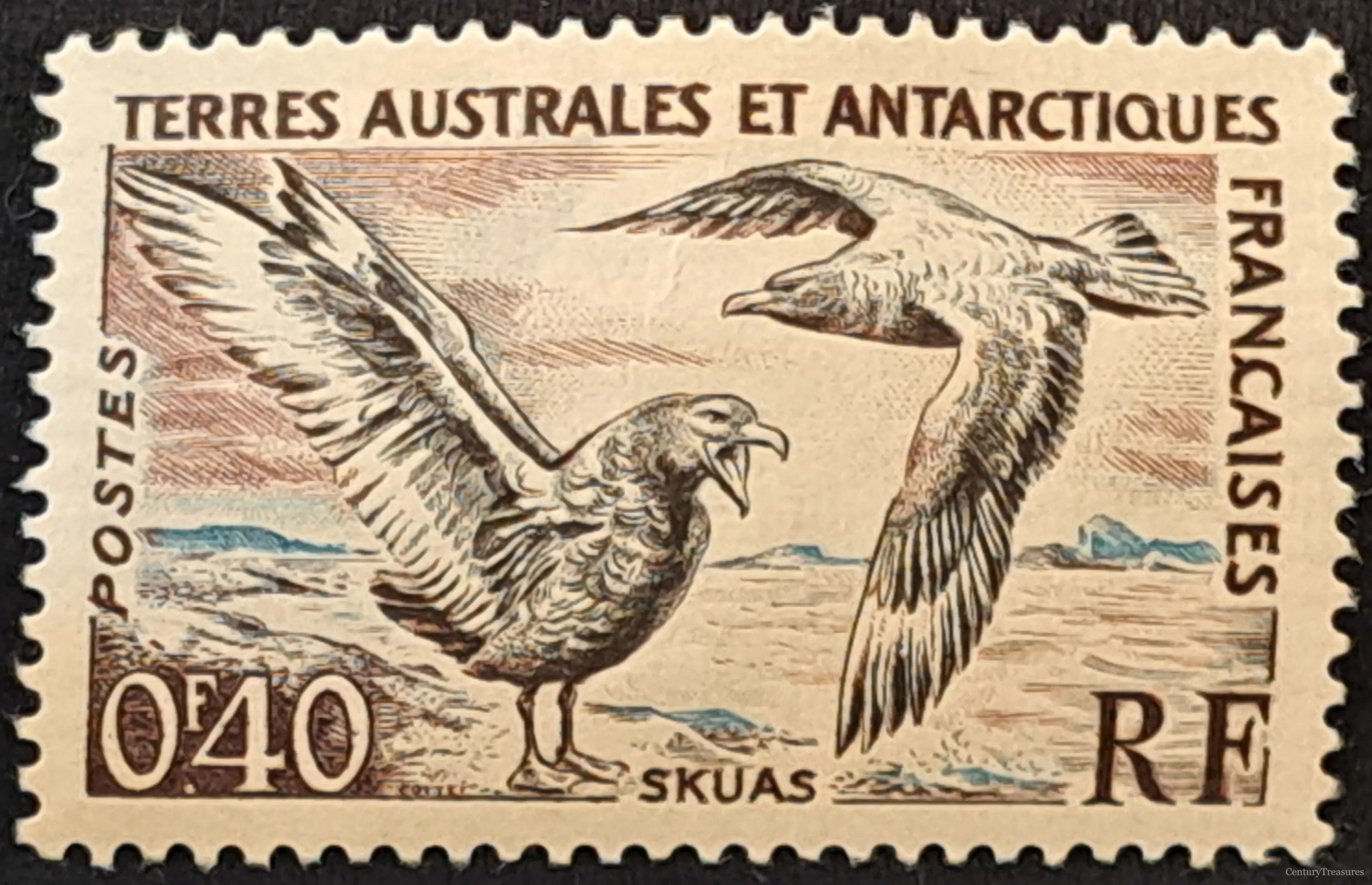 Polar Avian Aggression