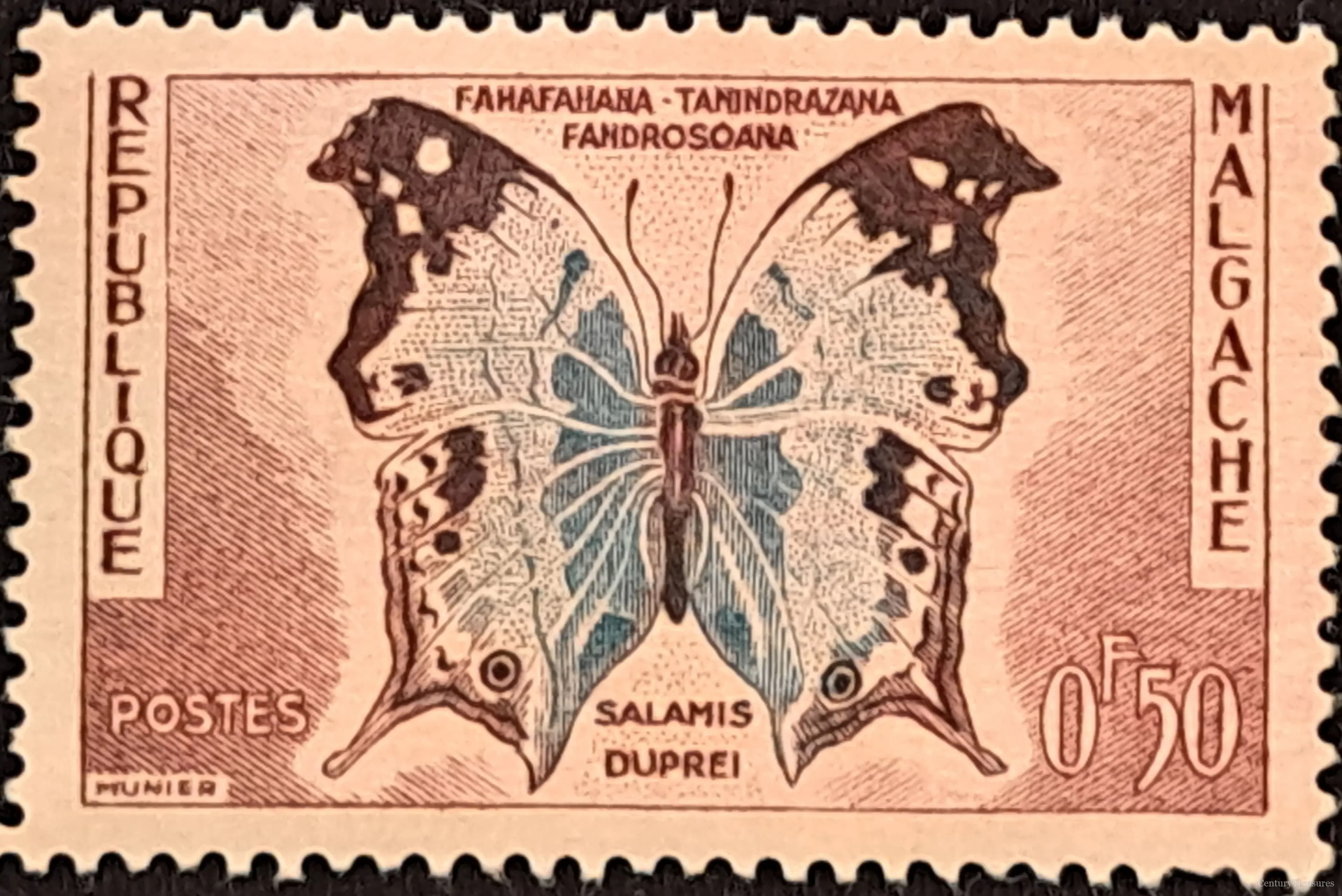 Malagasy Mother-of-Pearl