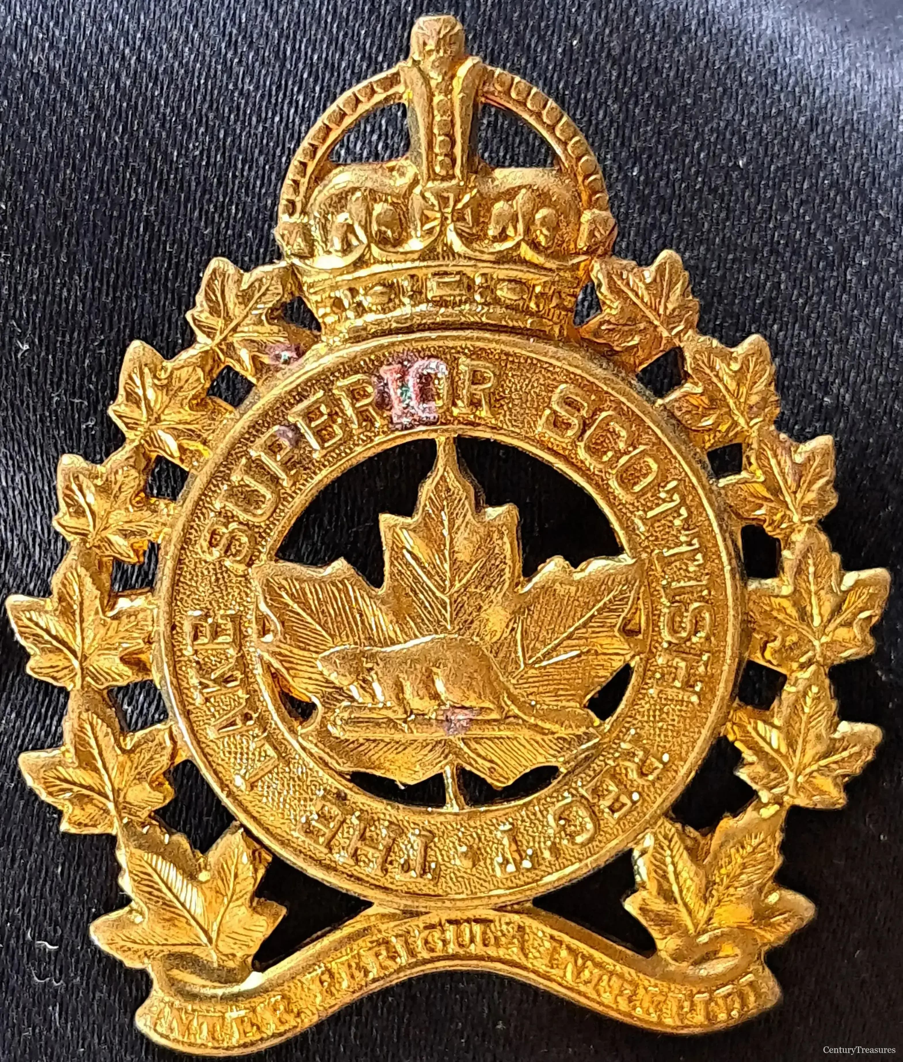 The Lake Superior Scottish Regiment