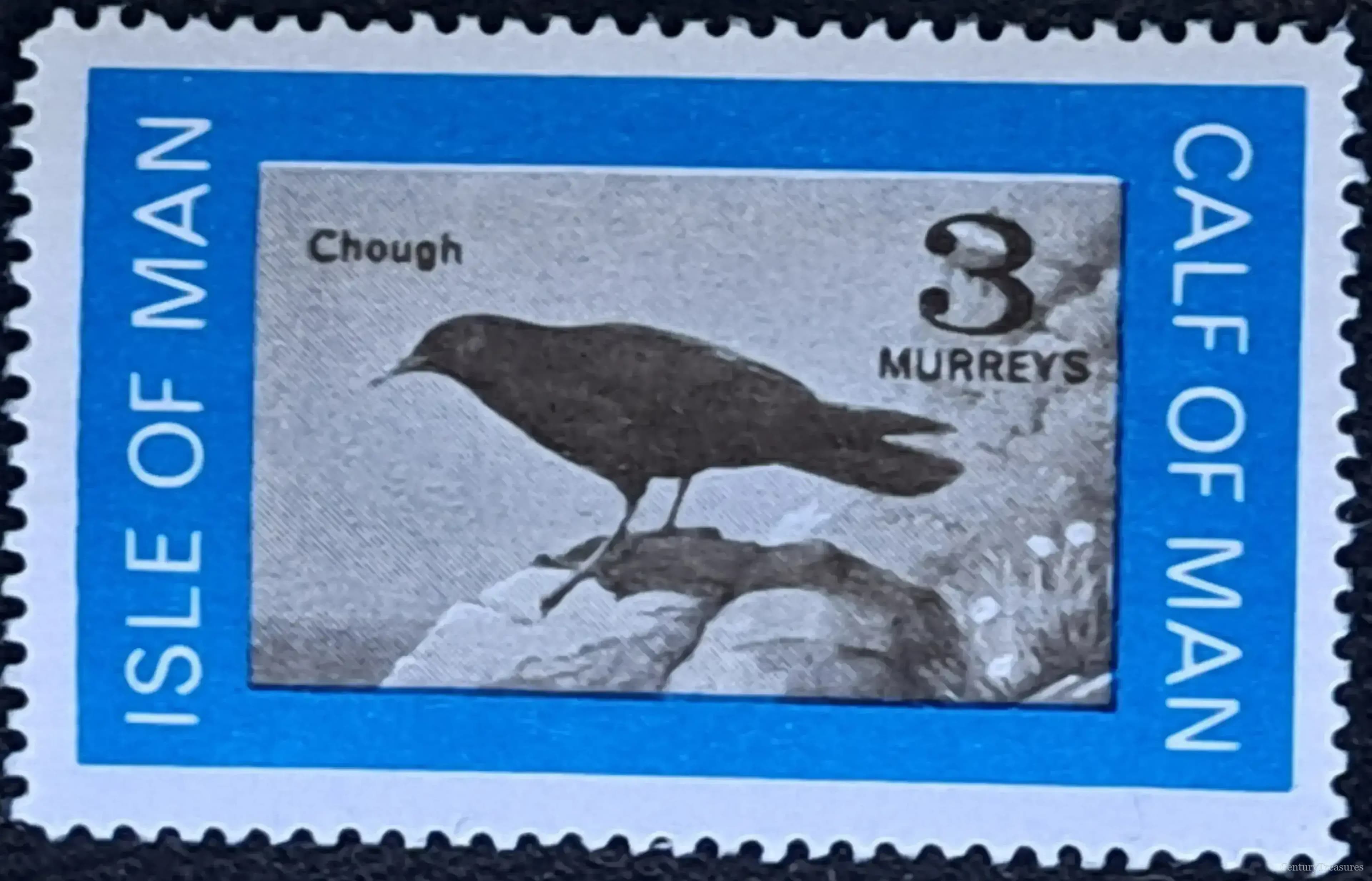 Calf of Man 3 Murreys Chough