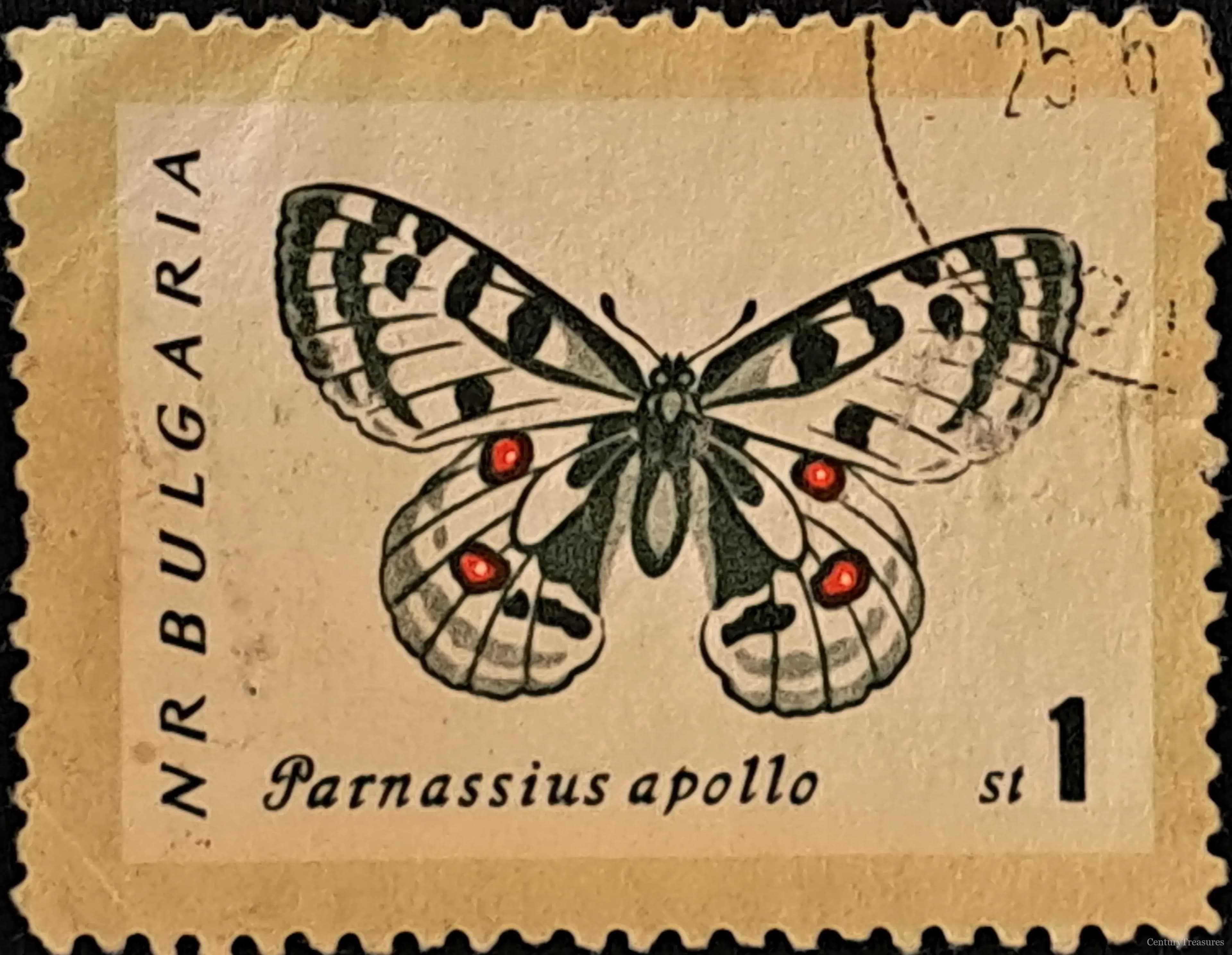 Winged Alpine Elegance