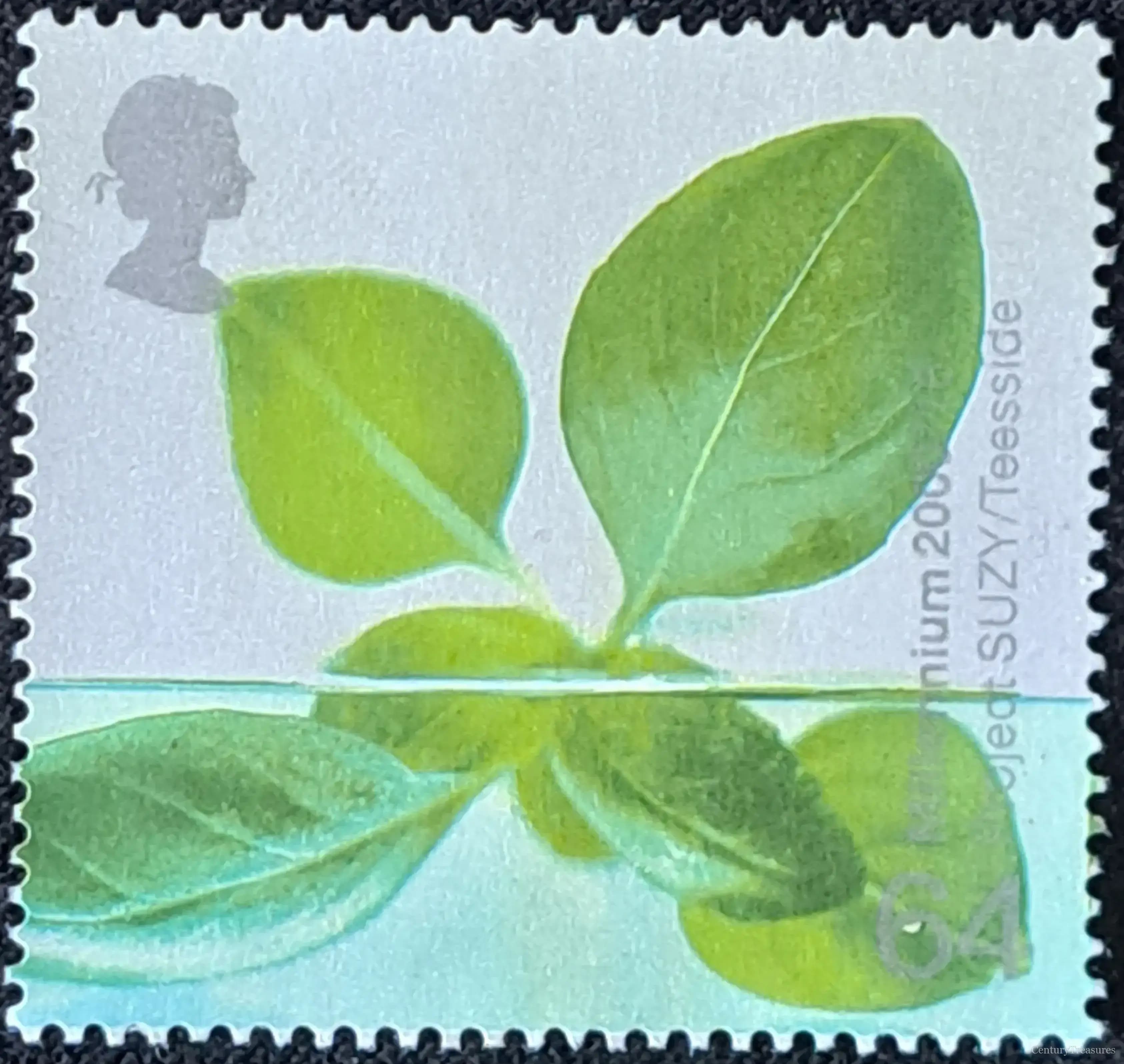 UK Millennium Life and Earth Project SUZY