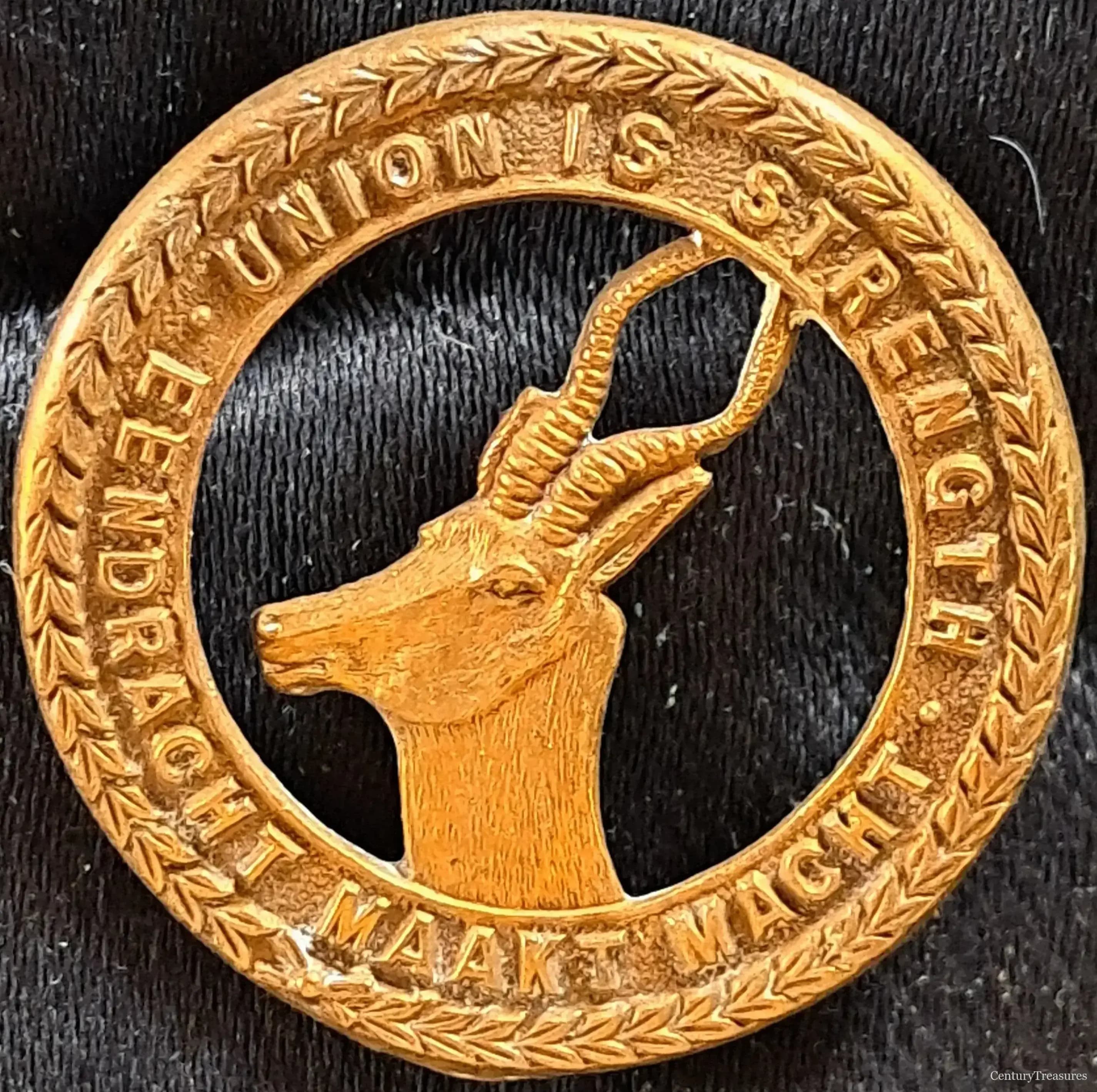 South African Infantry Springbok Badge