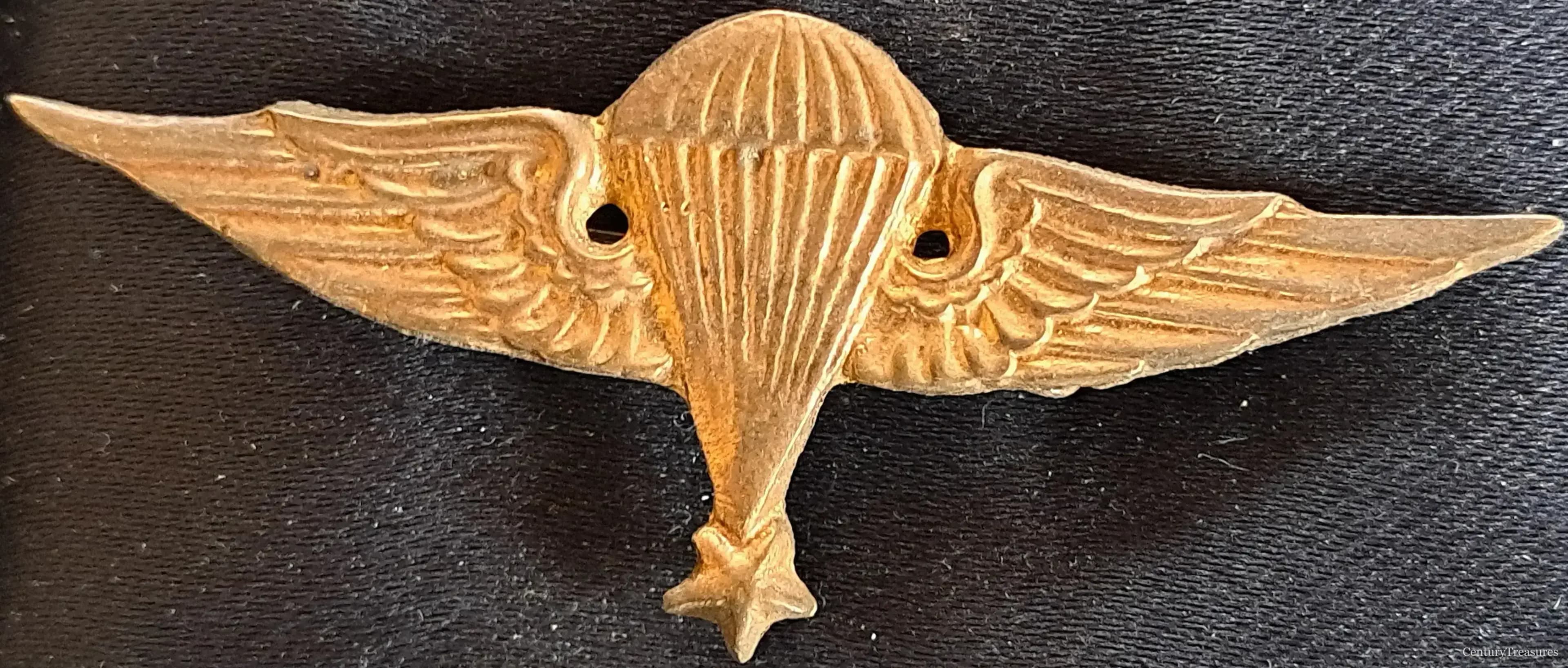 Airborne Brevet