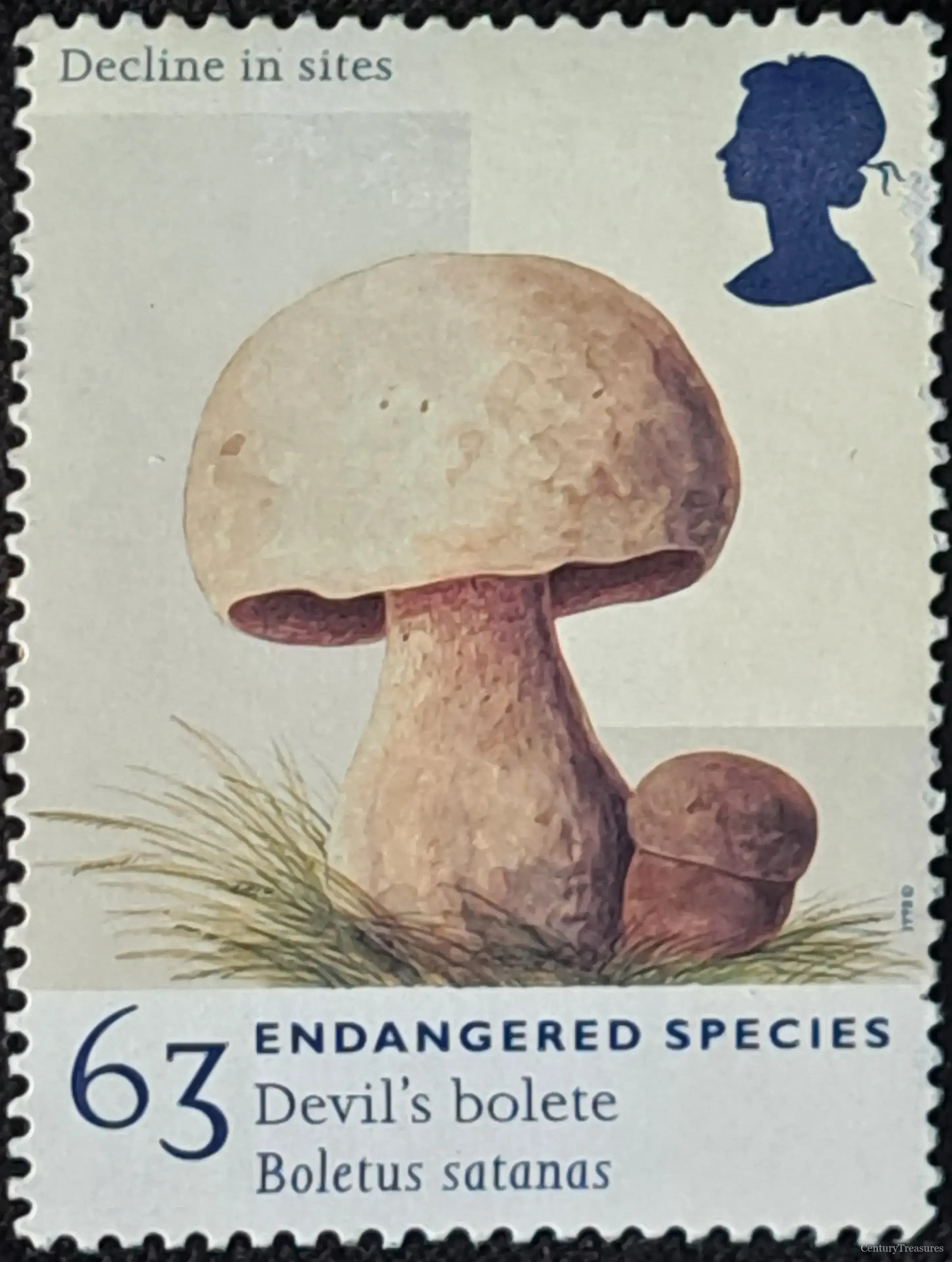 Endangered Species Devil’s Bolete