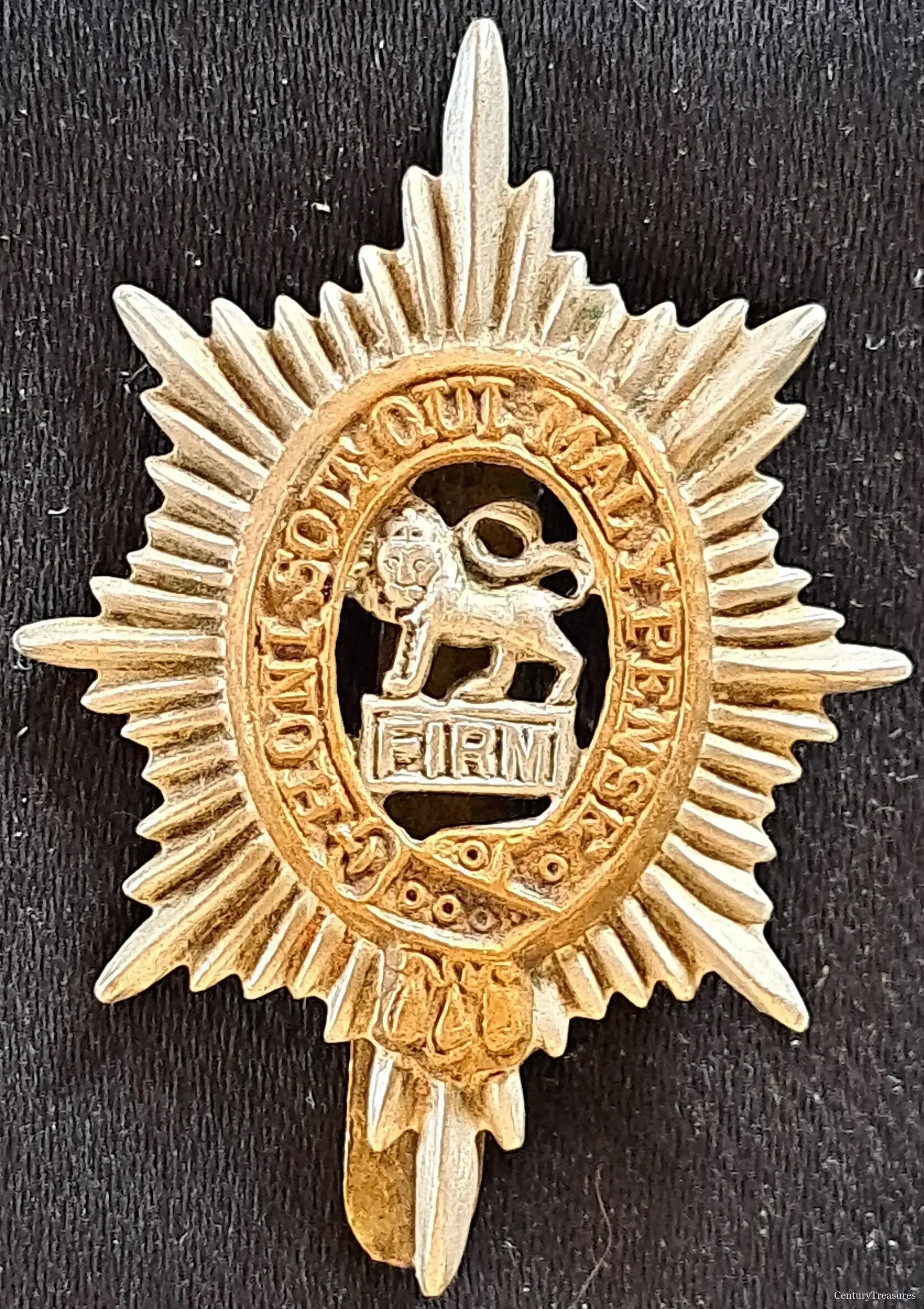 The Worcestershire Regiment Bi-Metal Cap Badge