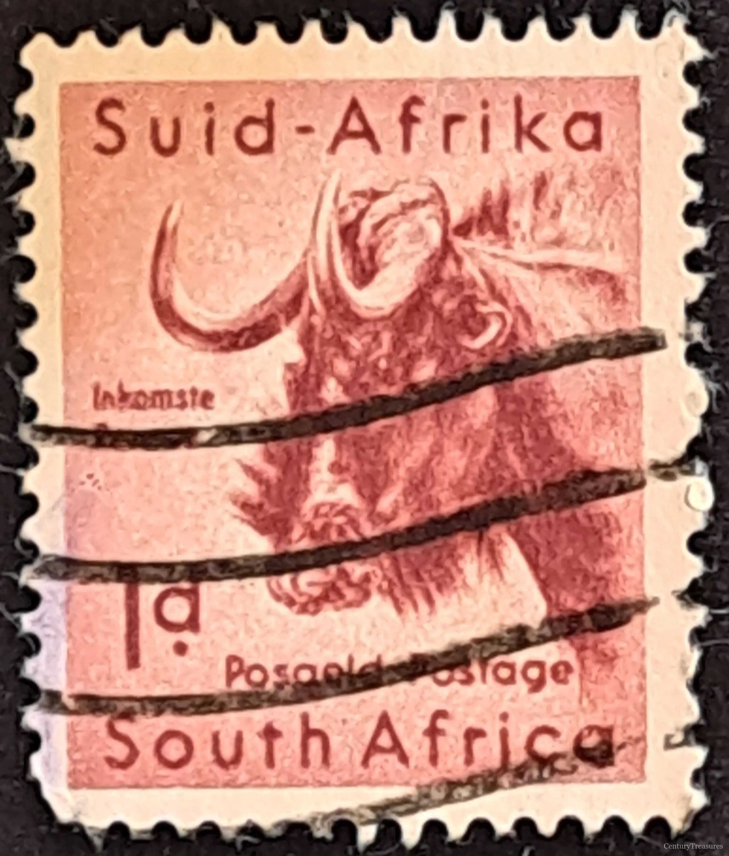 Zululand Wildebeest Definitive