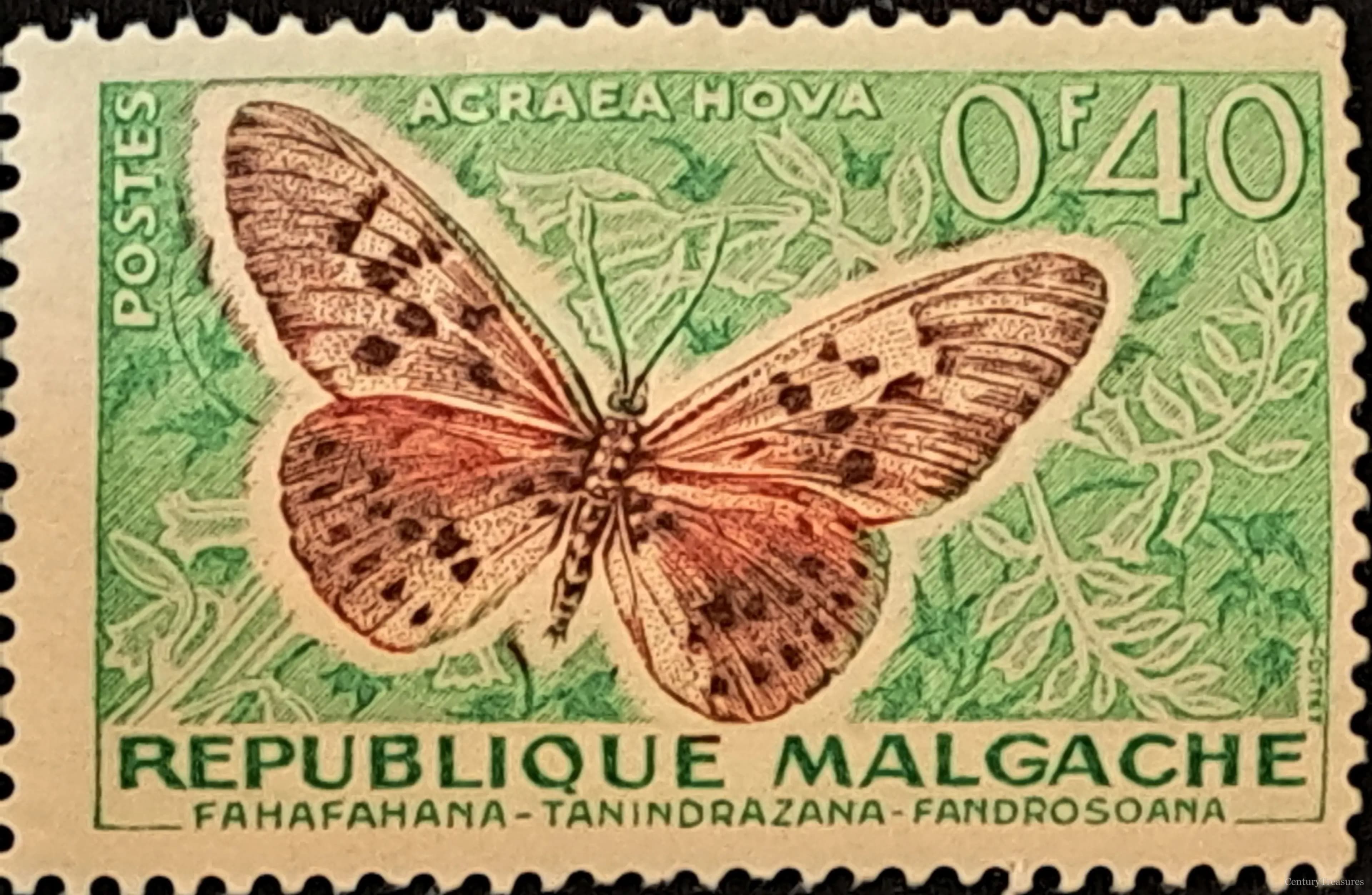 The Malagasy Hova Acraea