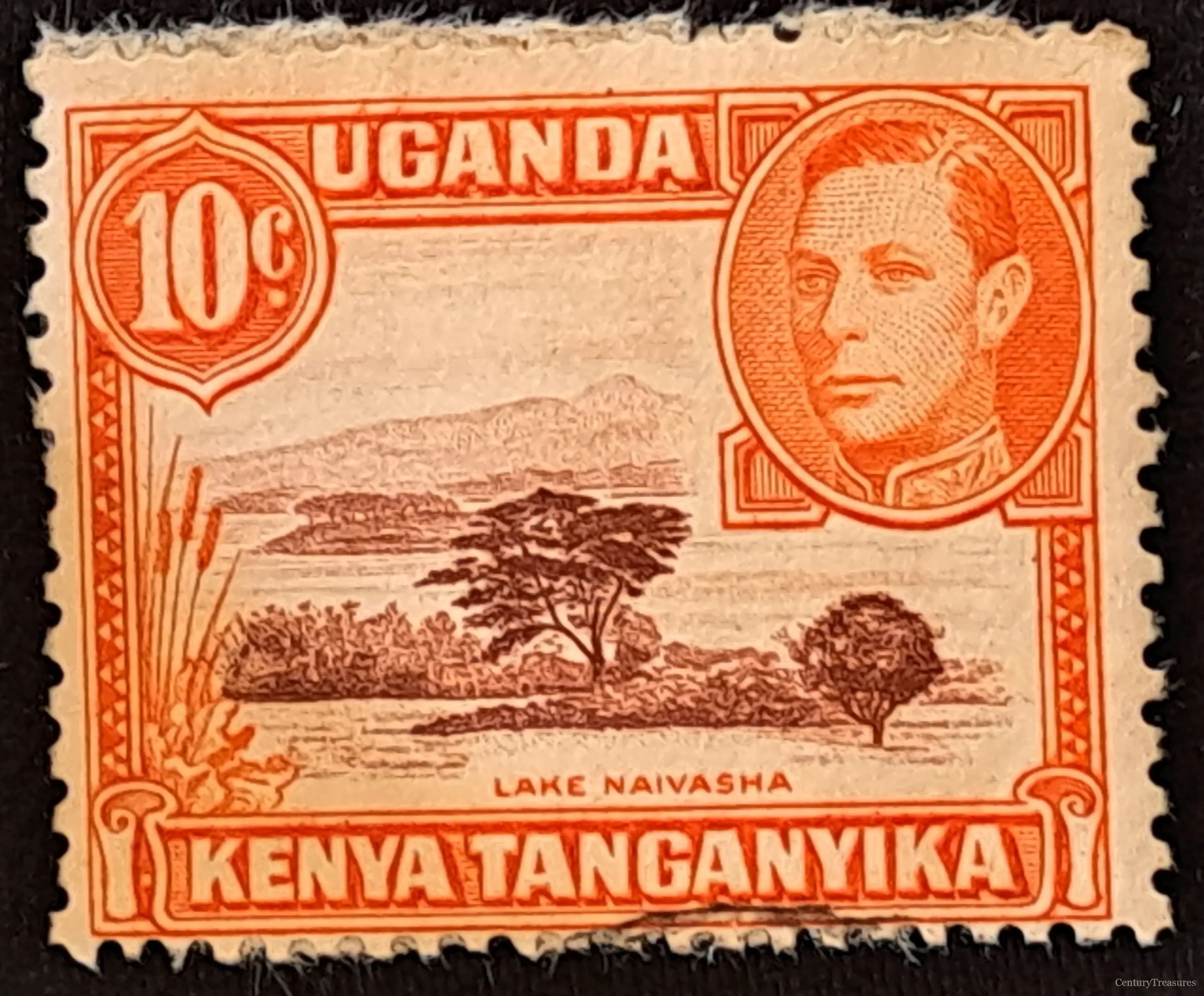 Scenic Serenity of the Rift Valley
