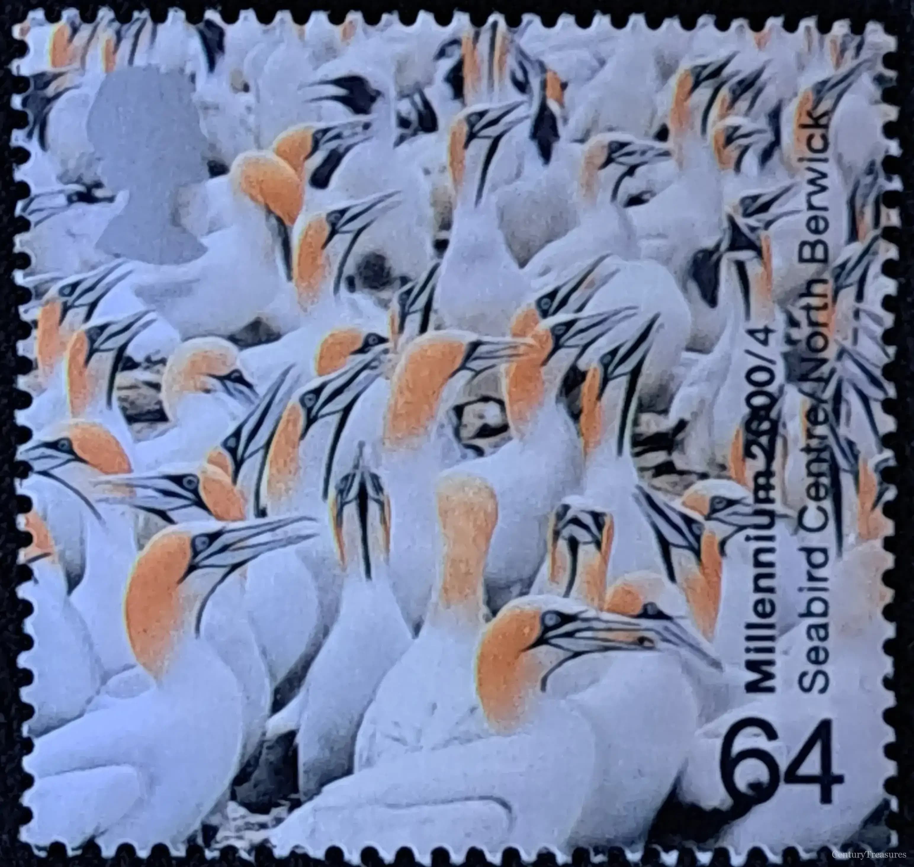The Avian Colony