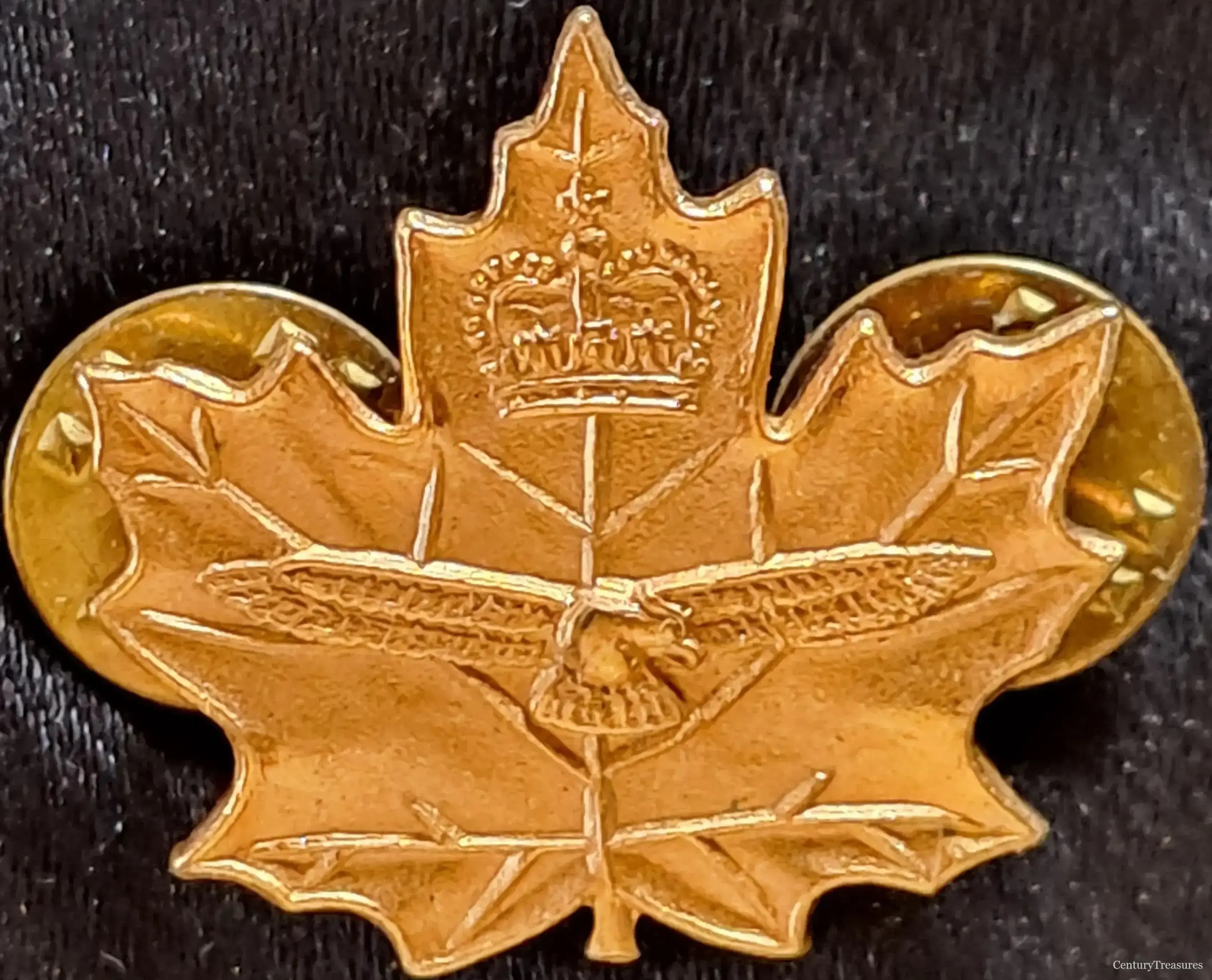 Air Cadet Officer Collar Badge