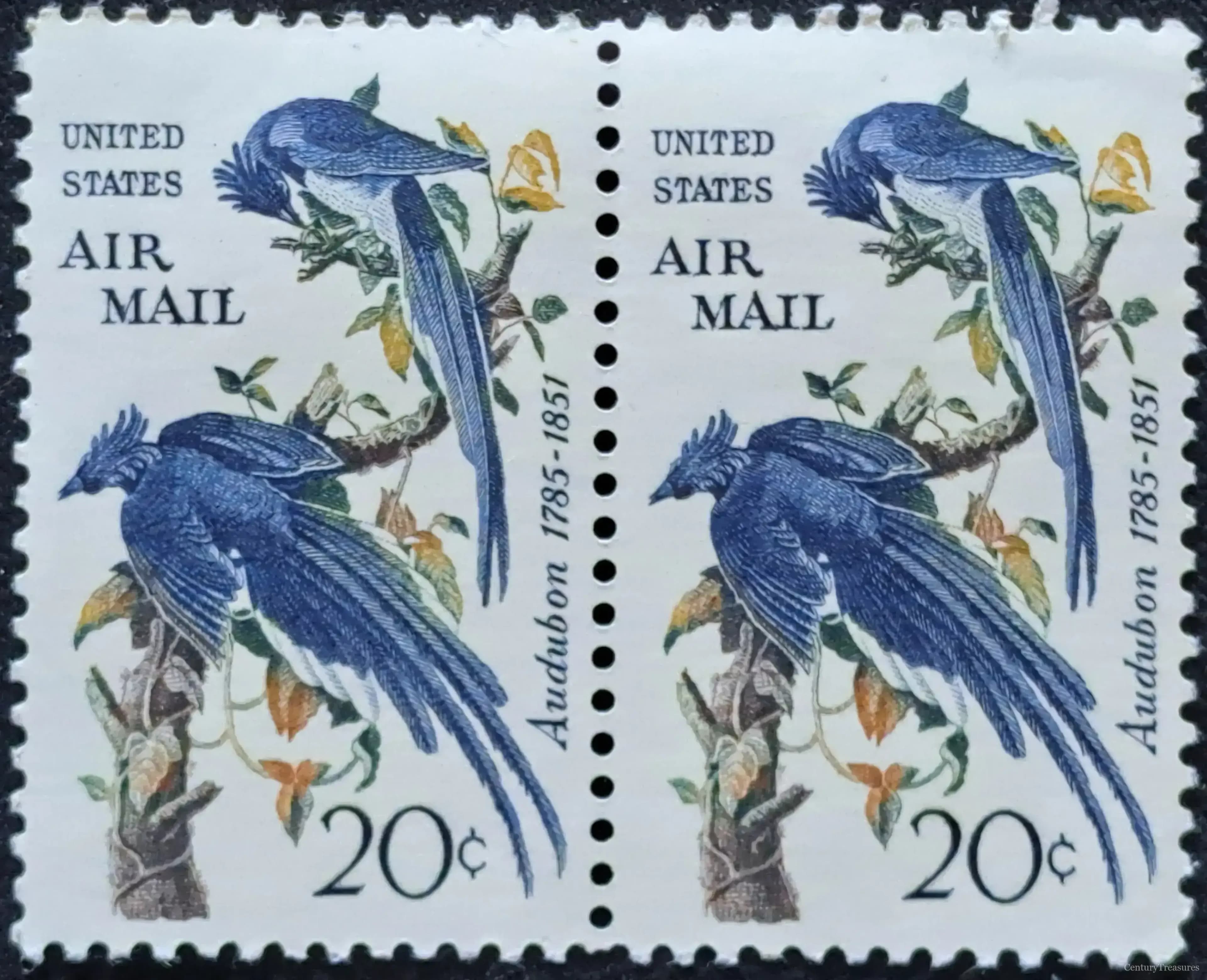 Audubon Columbia Jay Airmail Pair