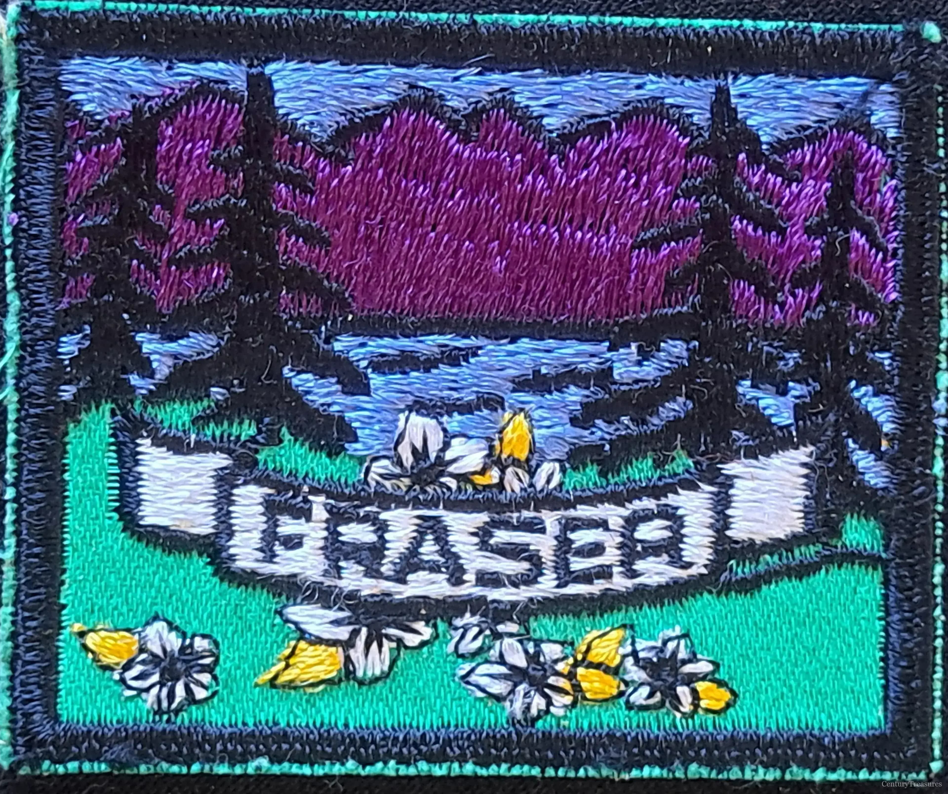 Vista of the Alpine Valley