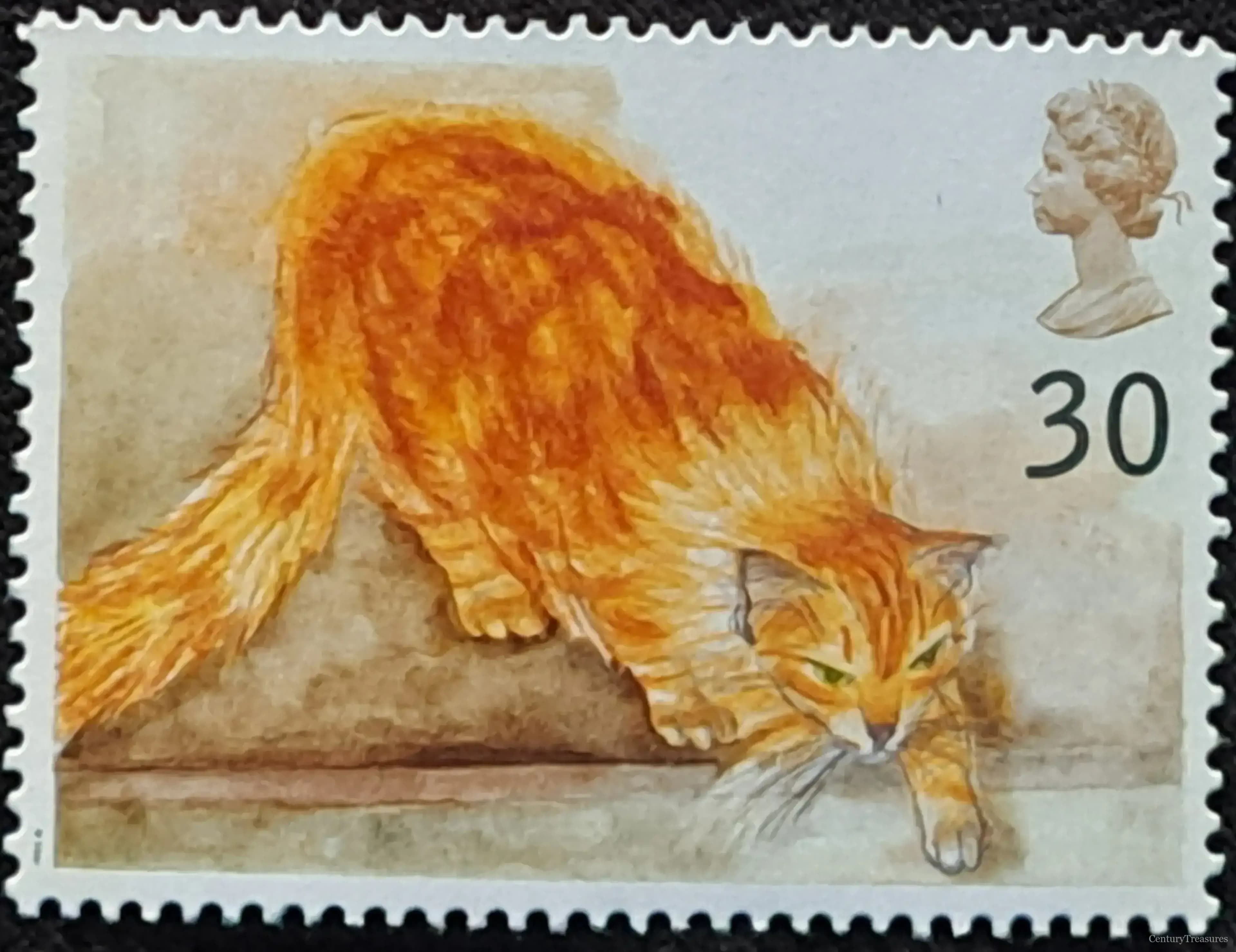 Blackadder's Cats "Chloe"