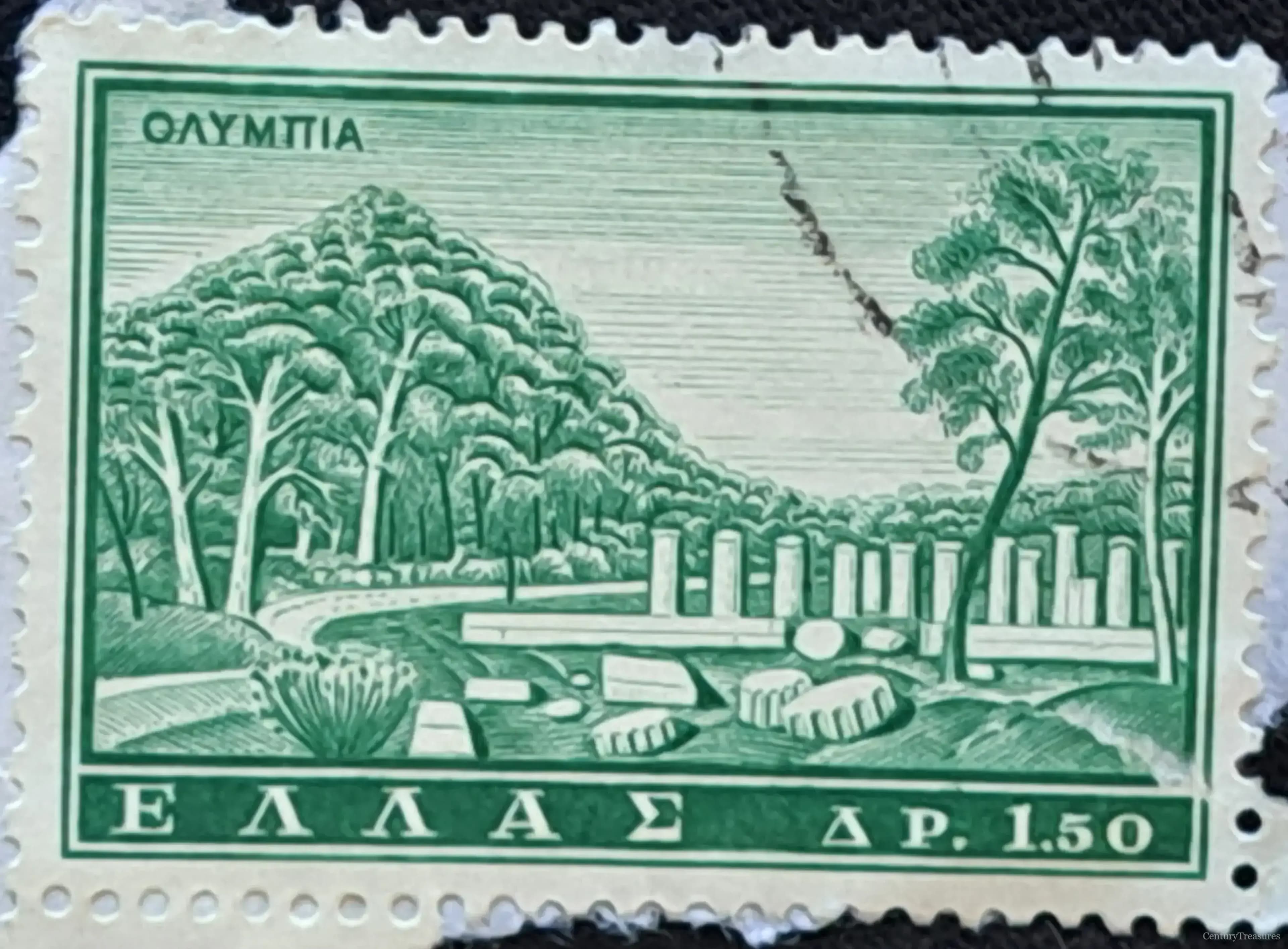 Sanctuary of the Pine Forests