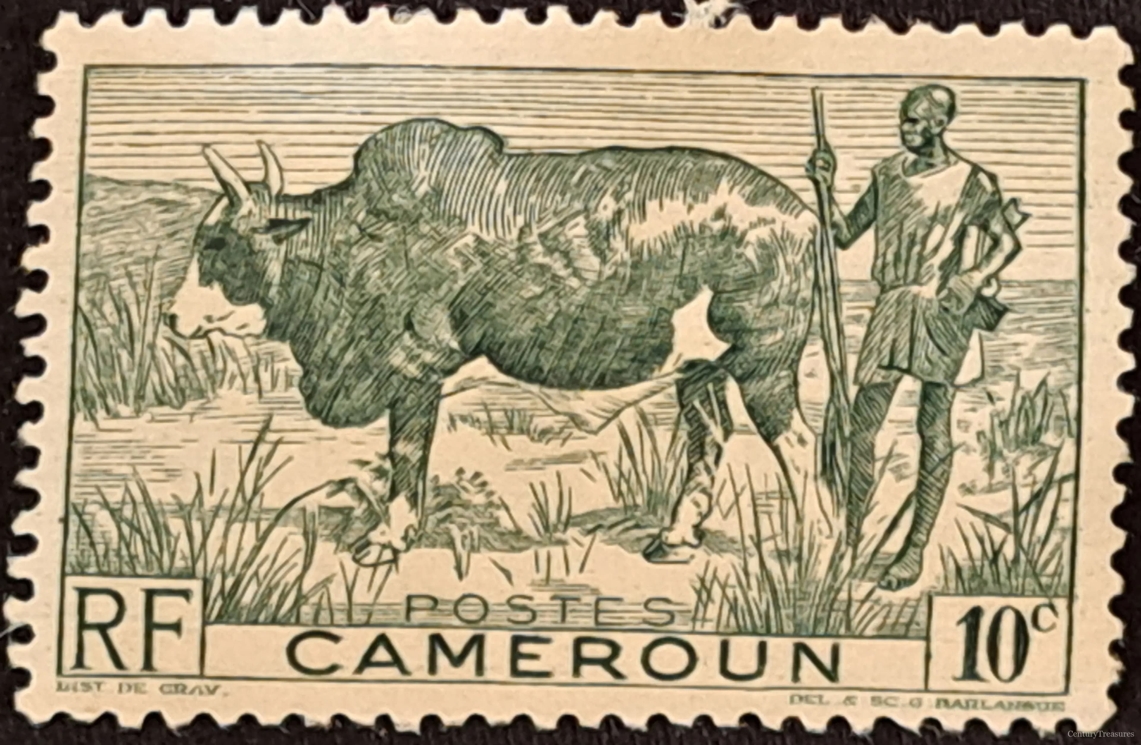 Pastoral Cameroun Definitive