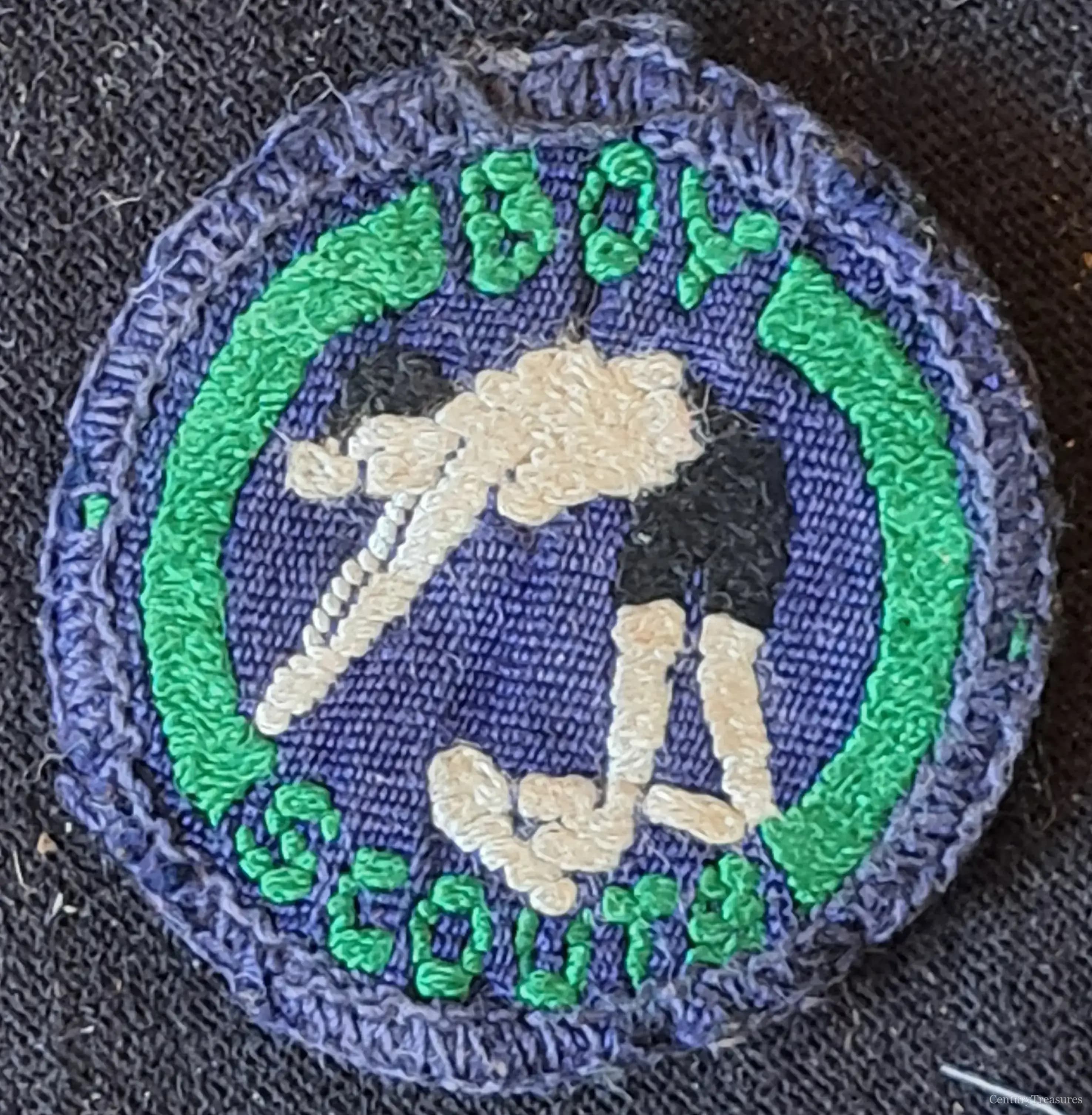 Boy Scouts Swimmer Proficiency Badge