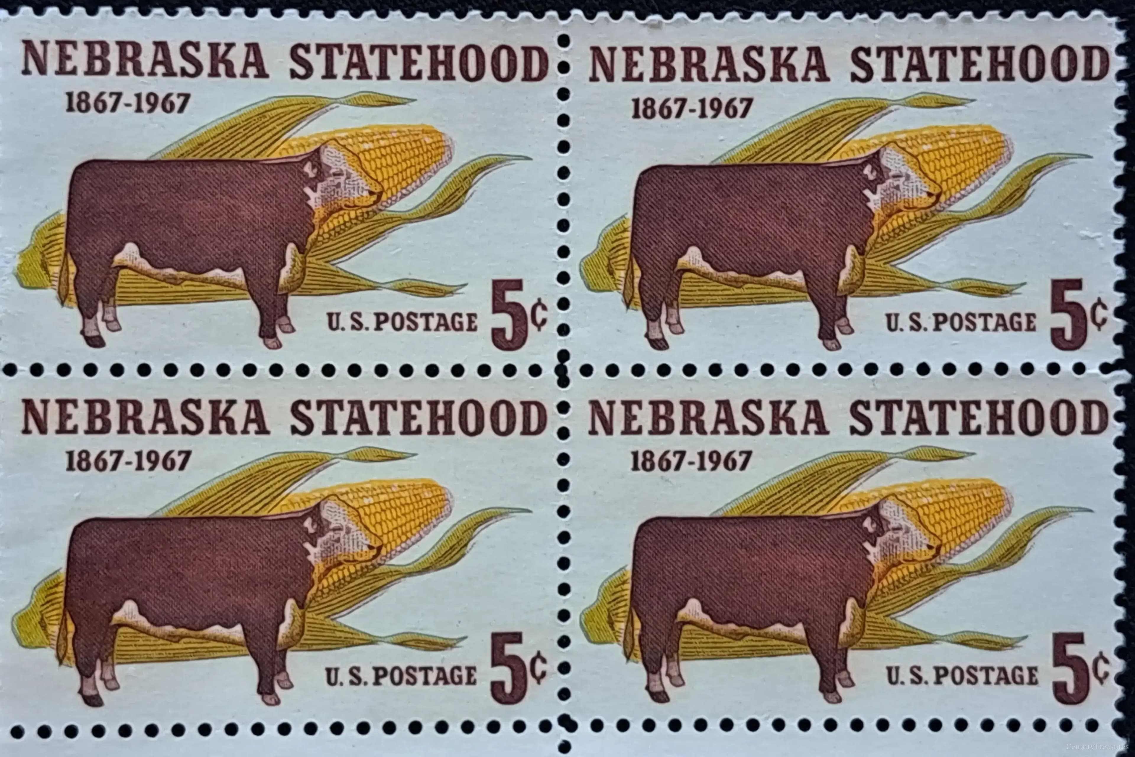 US Nebraska Statehood Block