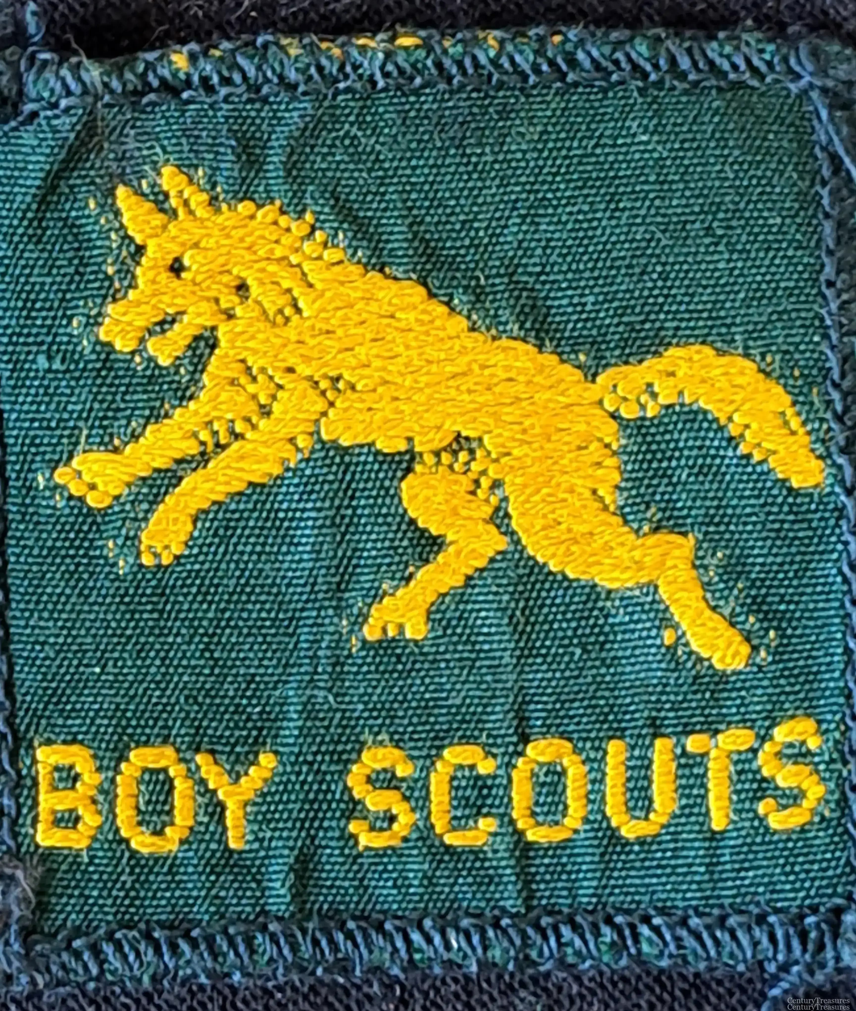 Fully Bound Leaping Wolf Boy Scouts Patch