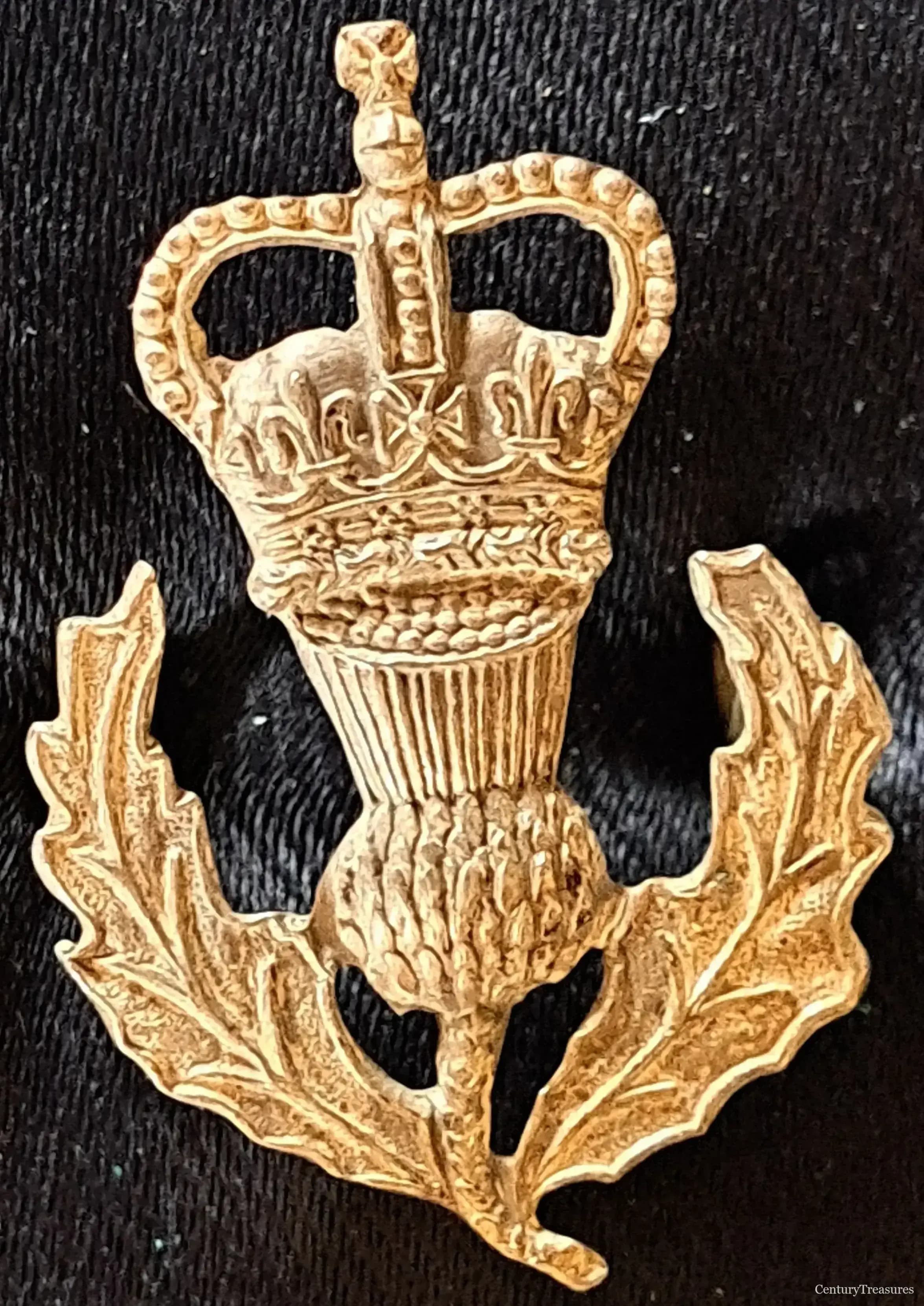 Queen's Own Highlanders Crowned Thistle Badge