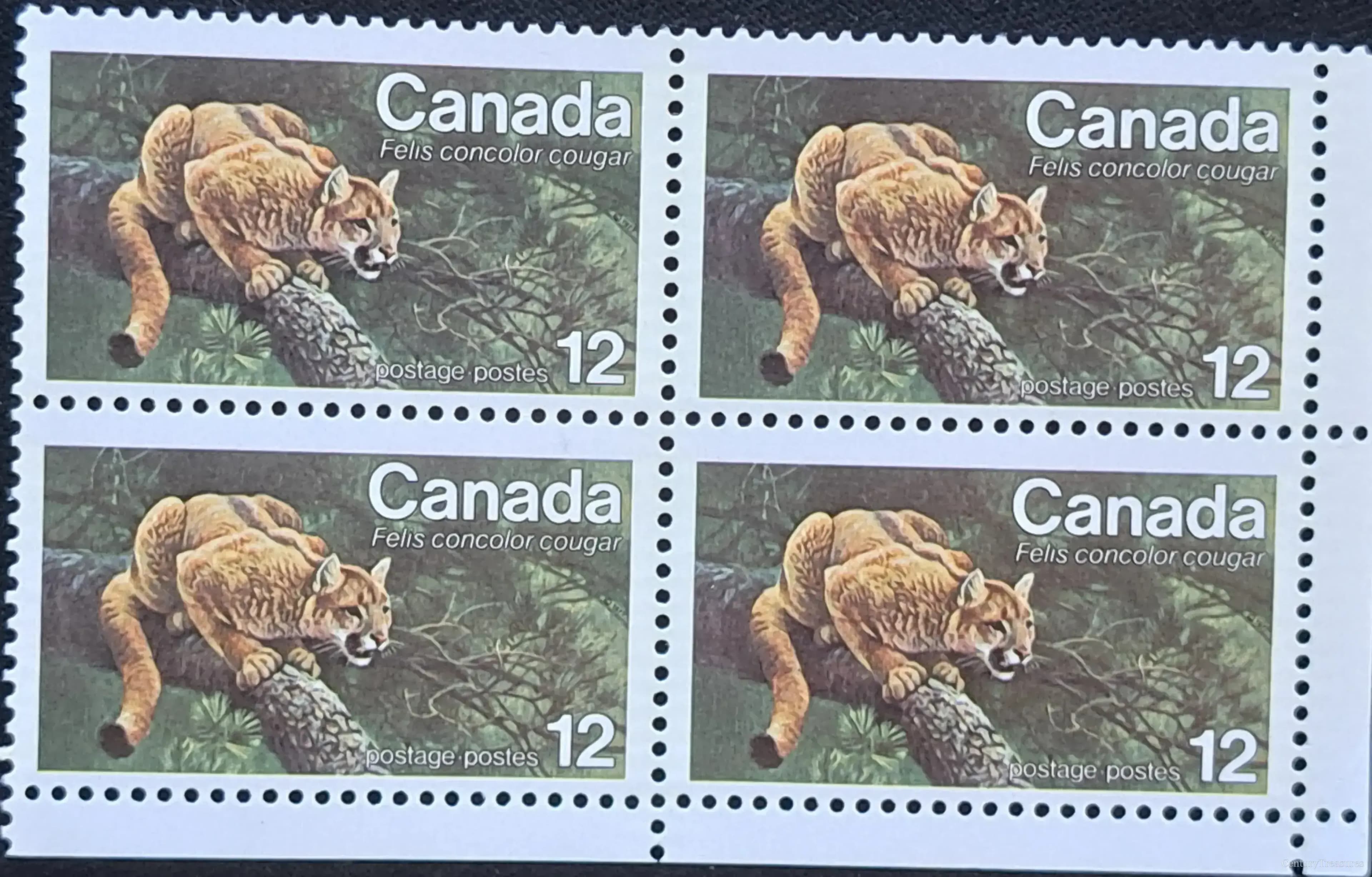 Canadian Endangered Wildlife Eastern Cougar Block