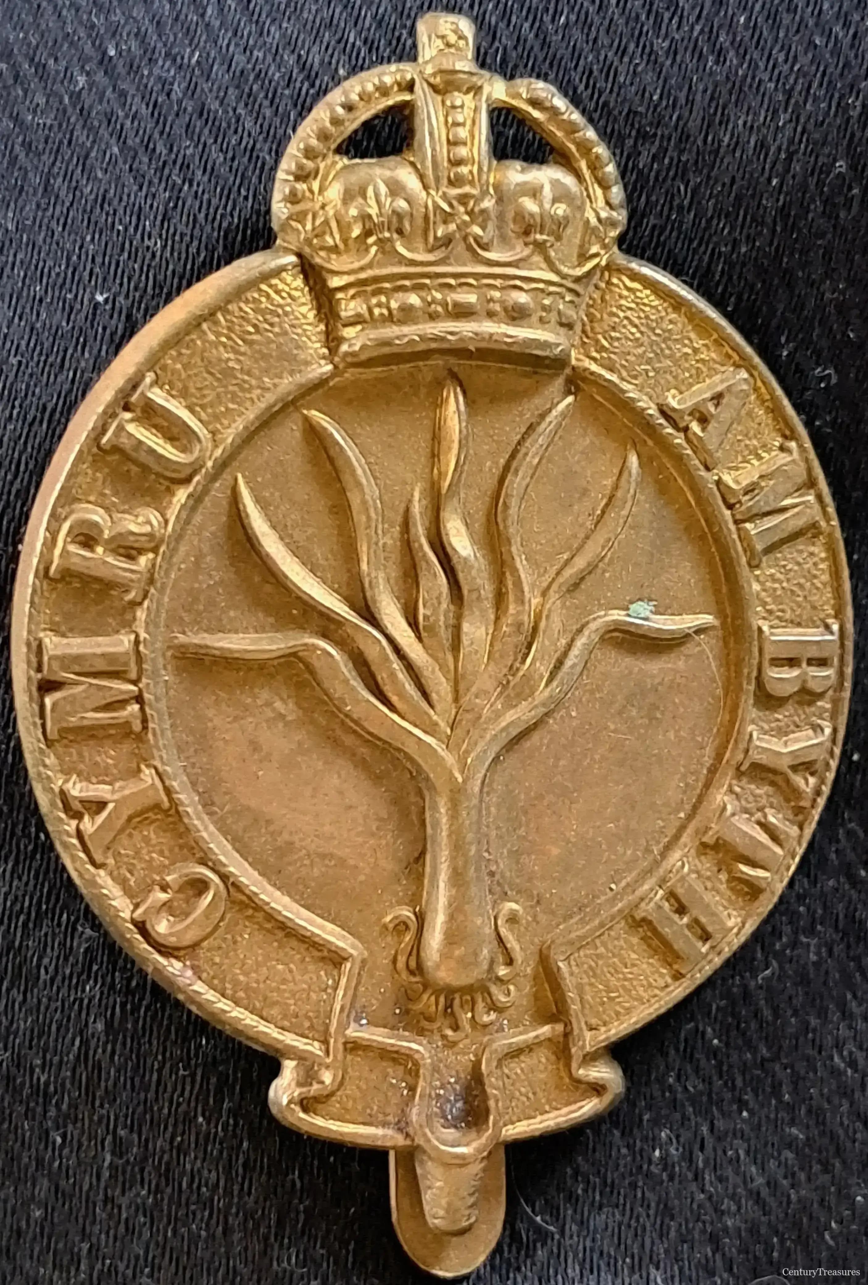 Shield of the Welsh Leek