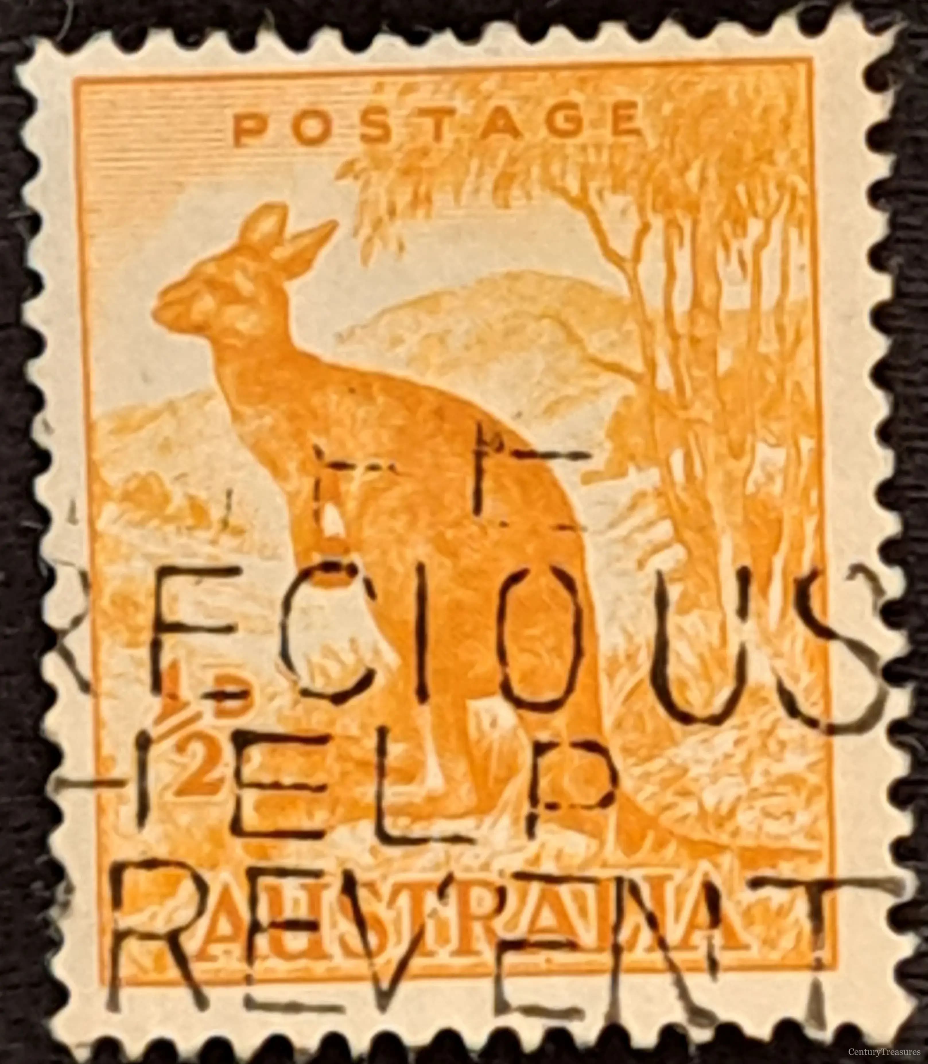 Icon of the Australian Outback
