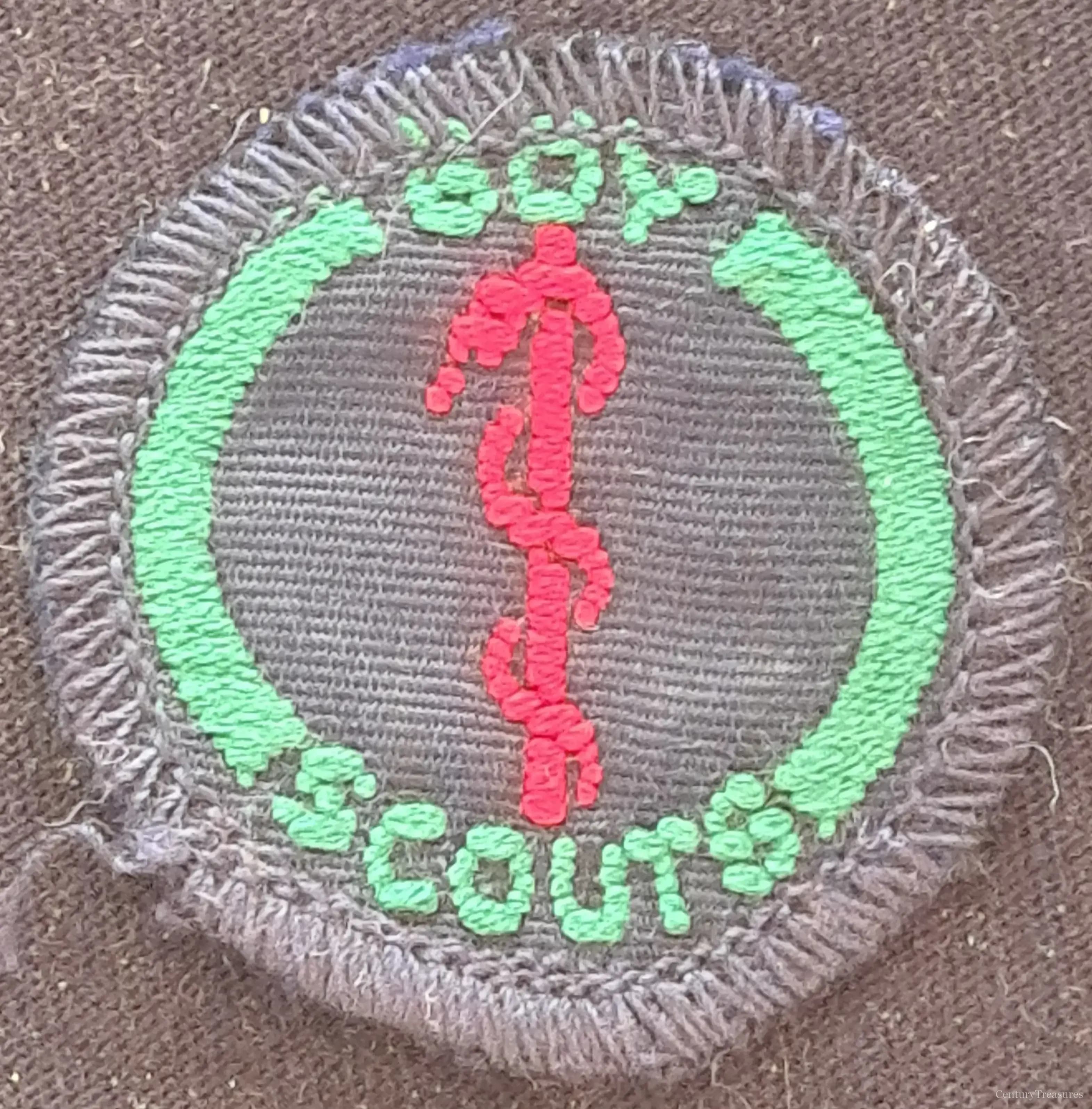 Boy Scouts First Aid Proficiency Badge