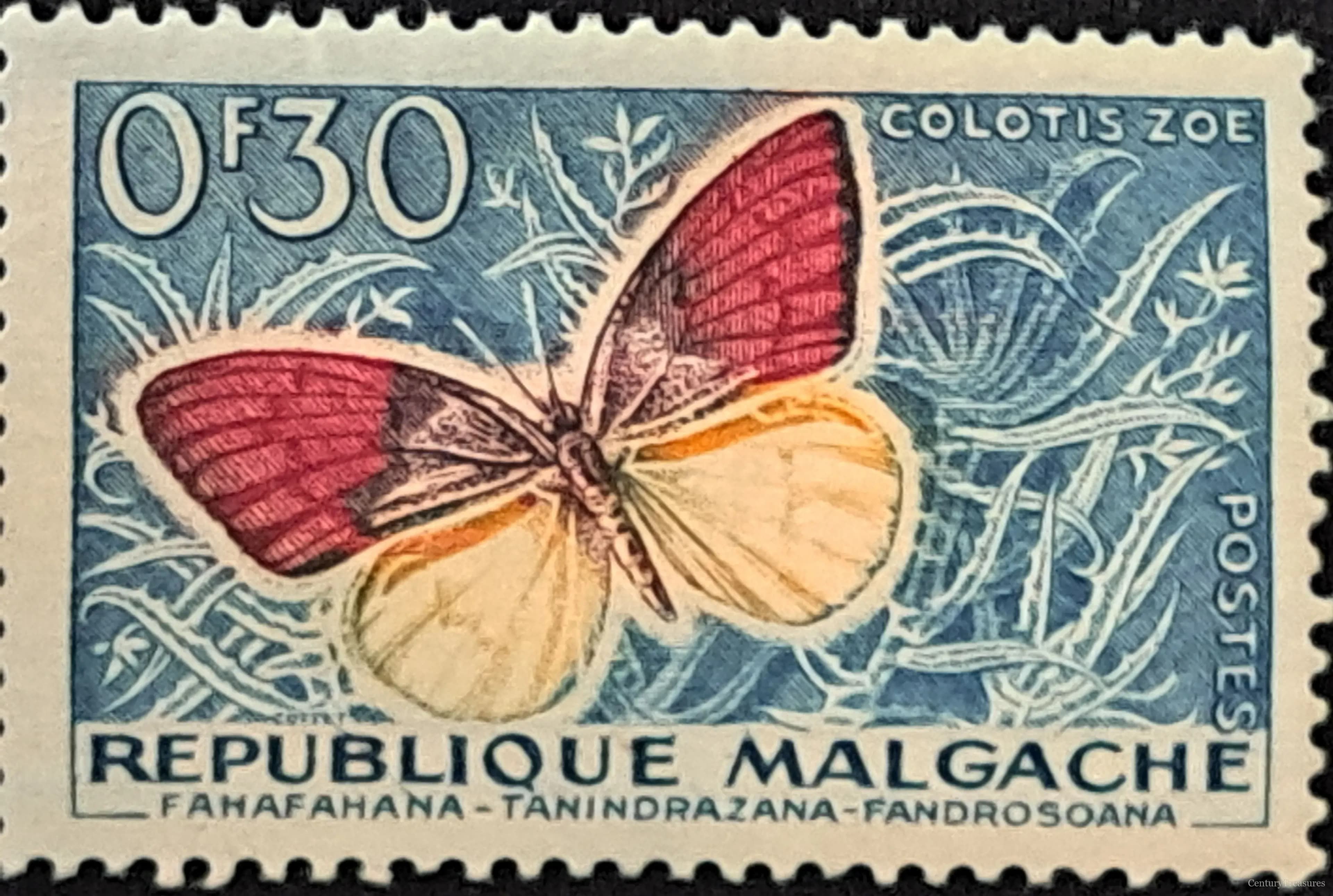 The Crimson Tip of Madagascar