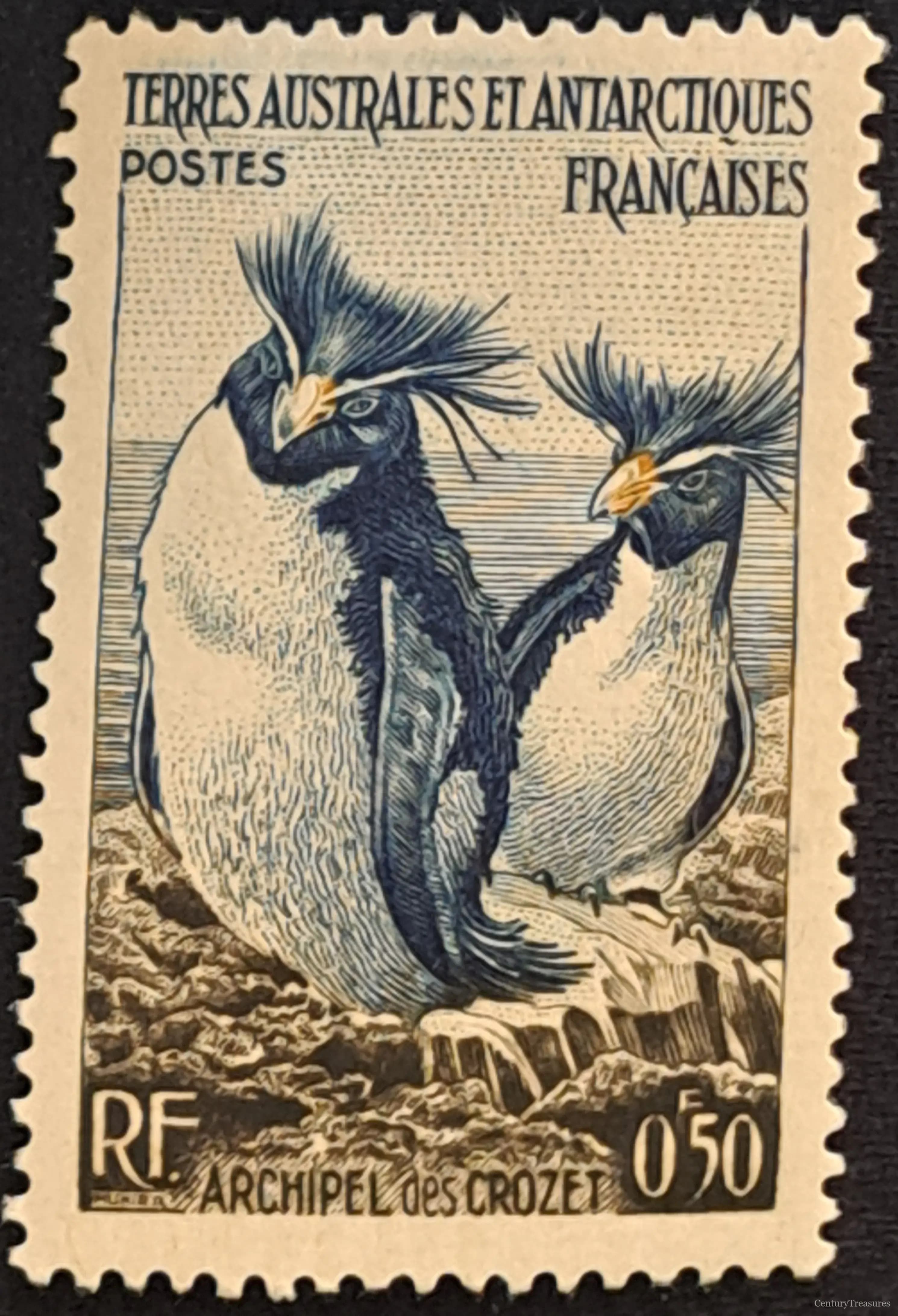 Subantarctic Crested Penguins